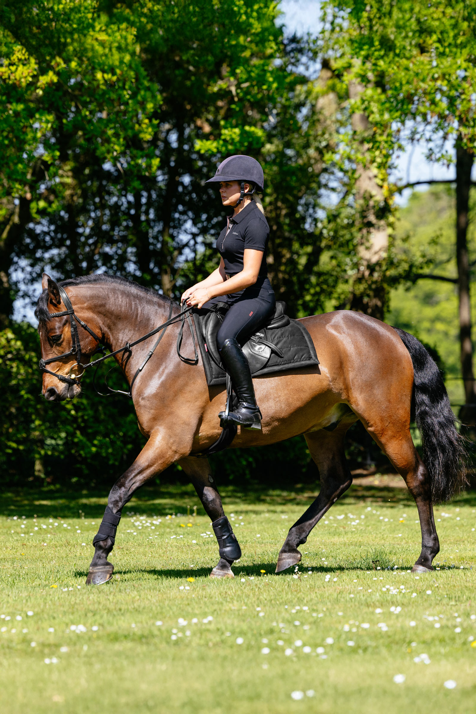 LeMieux Pillow pehmustettu satulahuopa yleisneli&ouml;