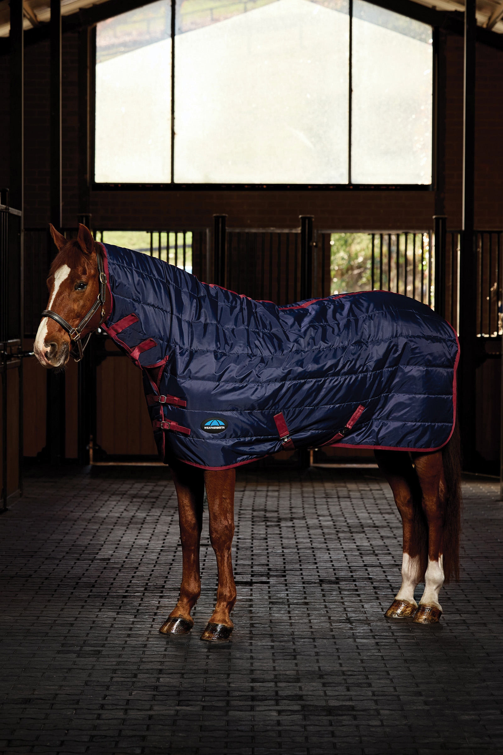 Weatherbeeta ComFiTec 210D kanavoitu yhdistelm&auml;matto Vakaa kaulus 220G