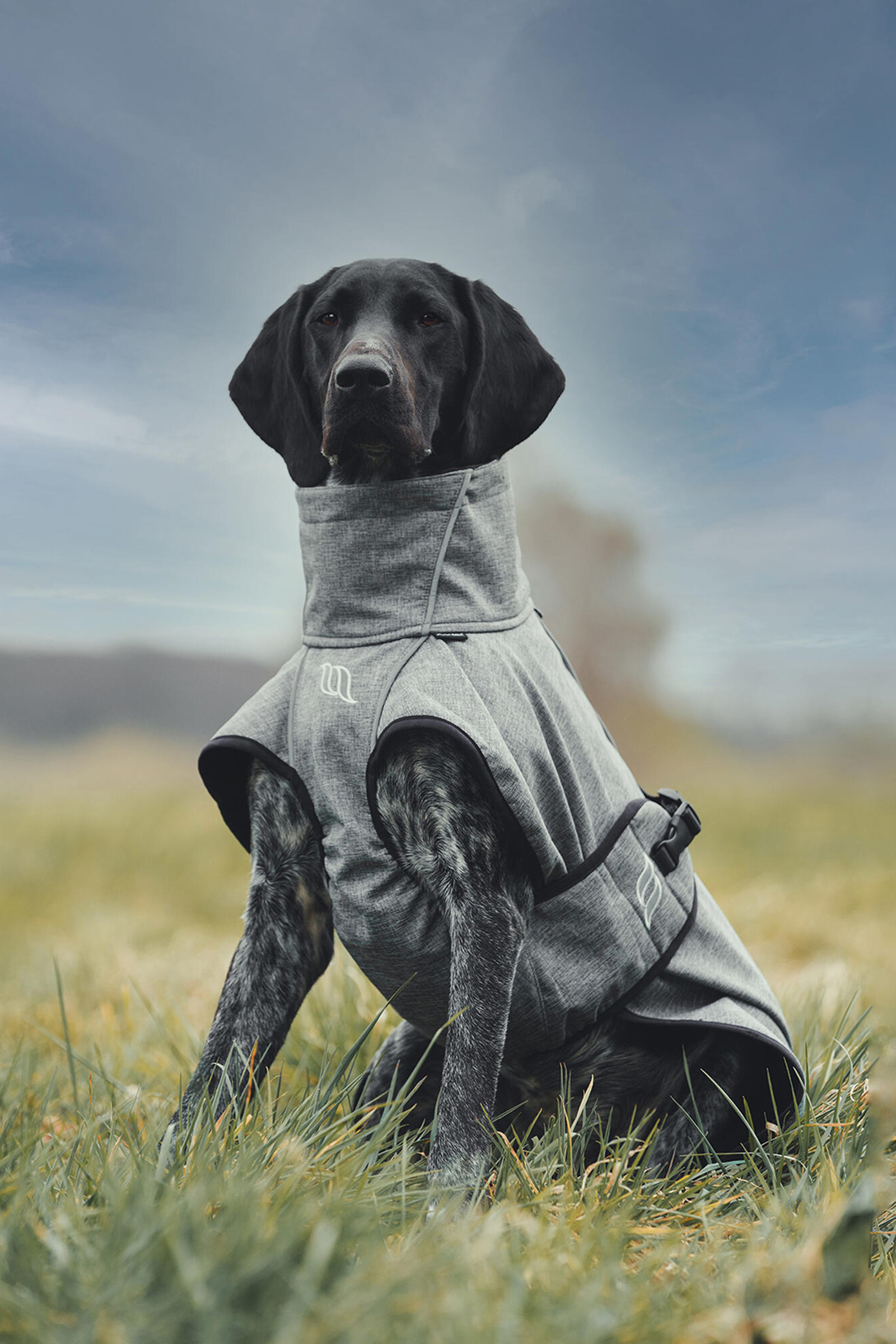 Back on Track Bark All-Round Dog Coat, 40-50cm