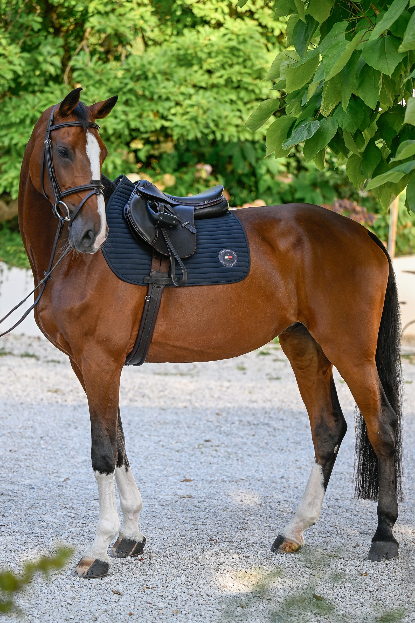 Tommy Hilfiger Equestrian Upstate Hyppysatulatyyny