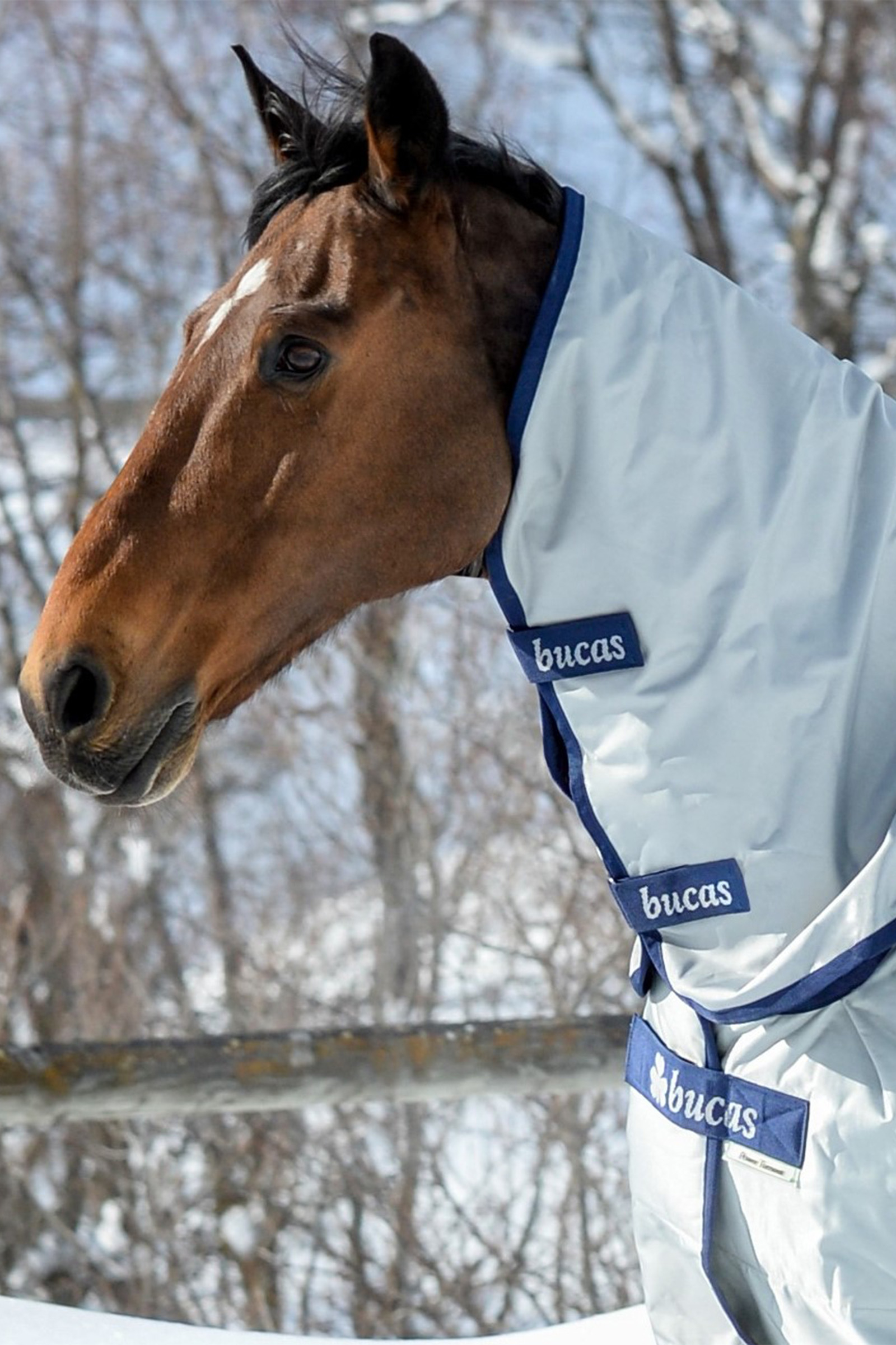 Bucas Power kaulakappale, 0g