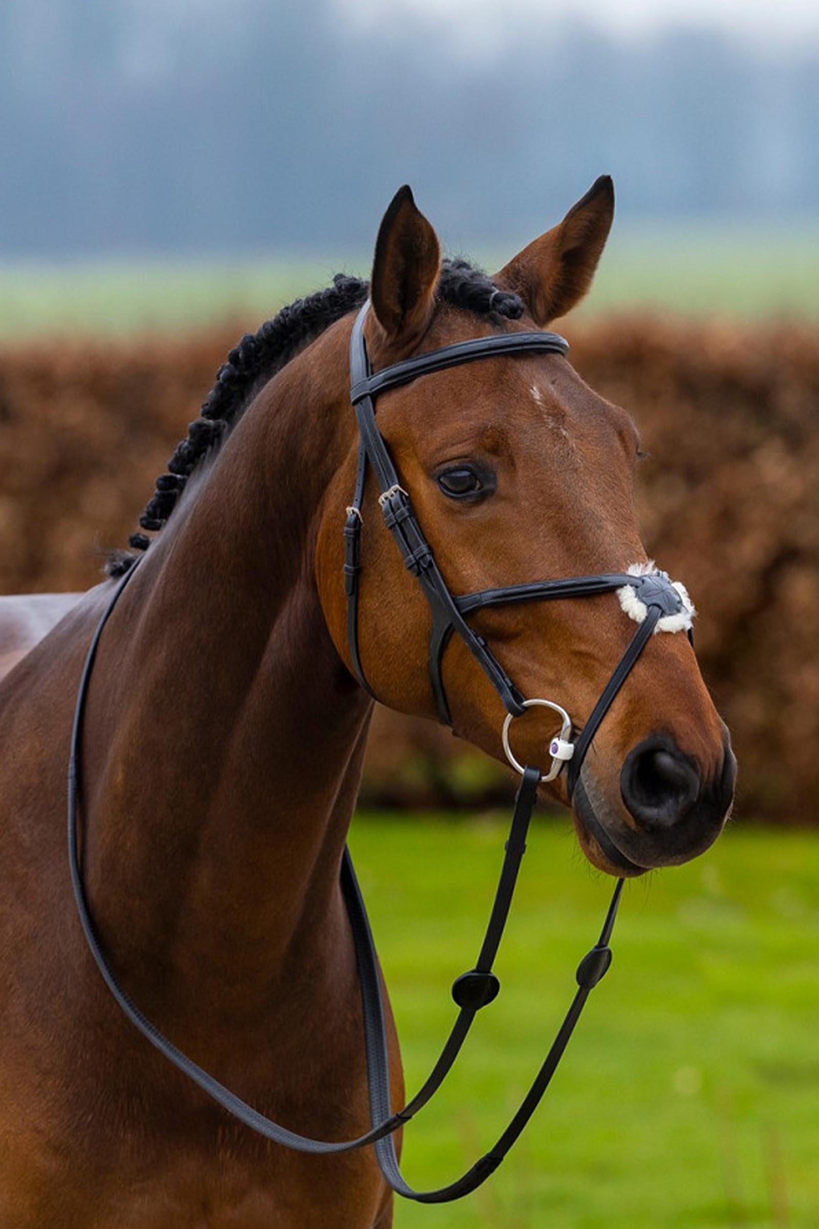 Trust Equestrian Oslo meksikolainen nen&auml;nauha Bridle