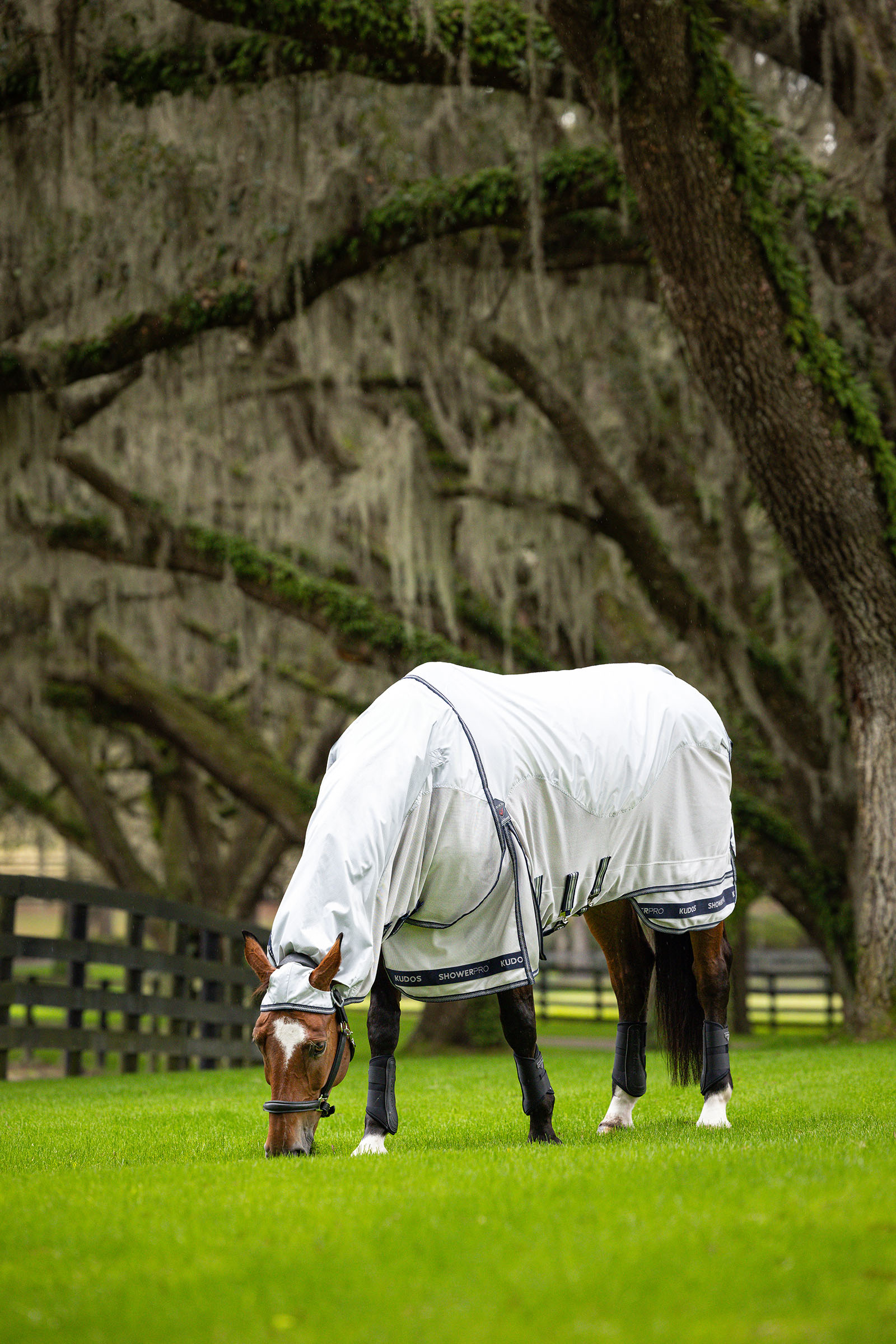 LeMieux Kudos Shower Pro vedenpit&auml;v&auml; k&auml;rp&auml;ssuojaloimi