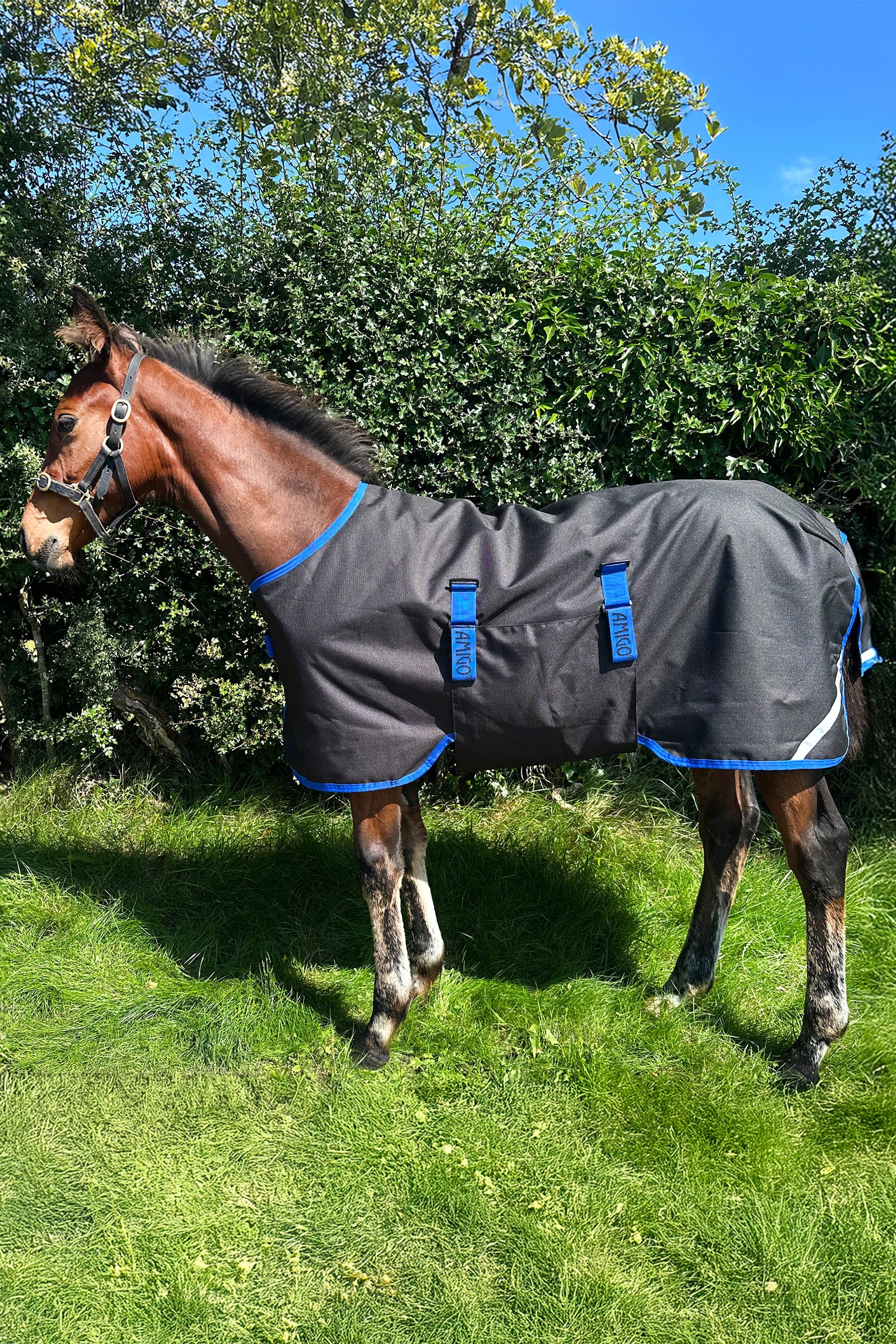 Horseware Amigo Ripstop 900D ulkoloimi varsalle 200g