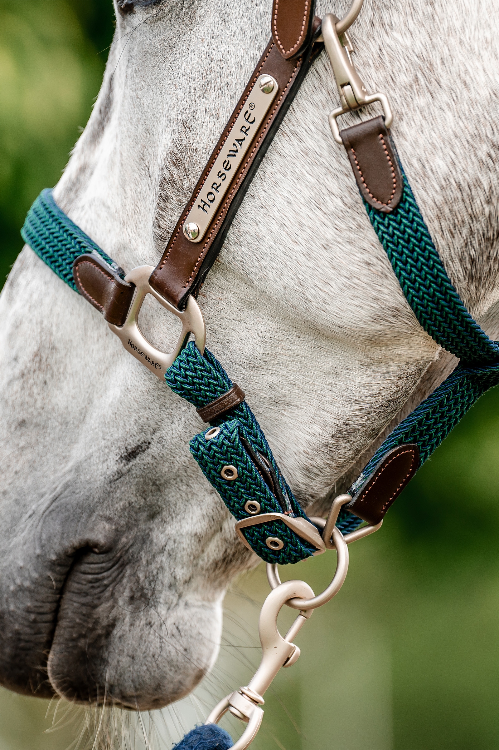 Horseware Signature Punaluinen Riimu