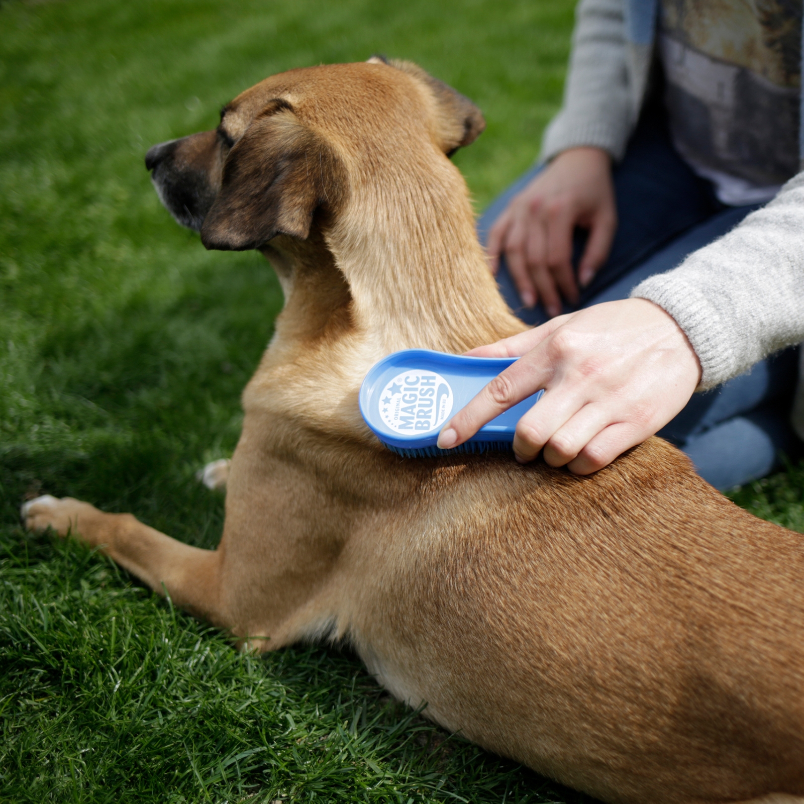 Kerbl Magic koiran harja