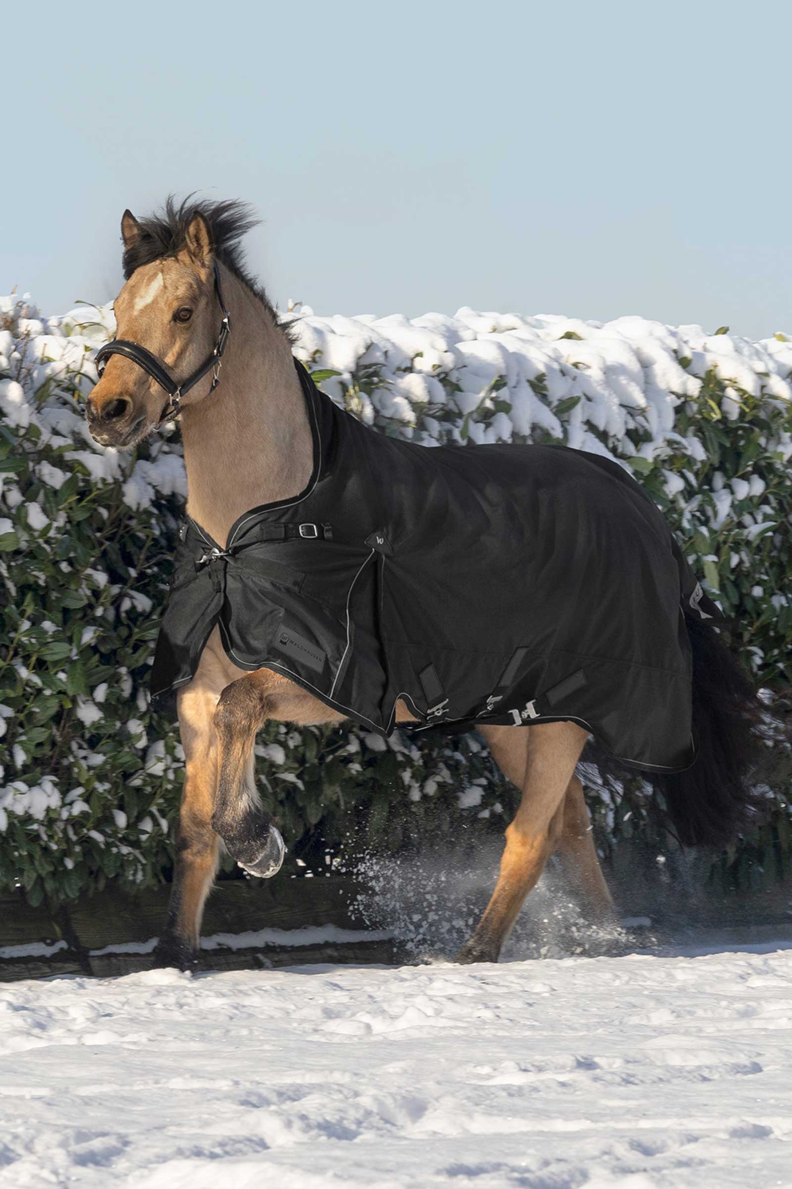Waldhausen Scandic Ulkoloimi korkealla kauluksella, 200 g