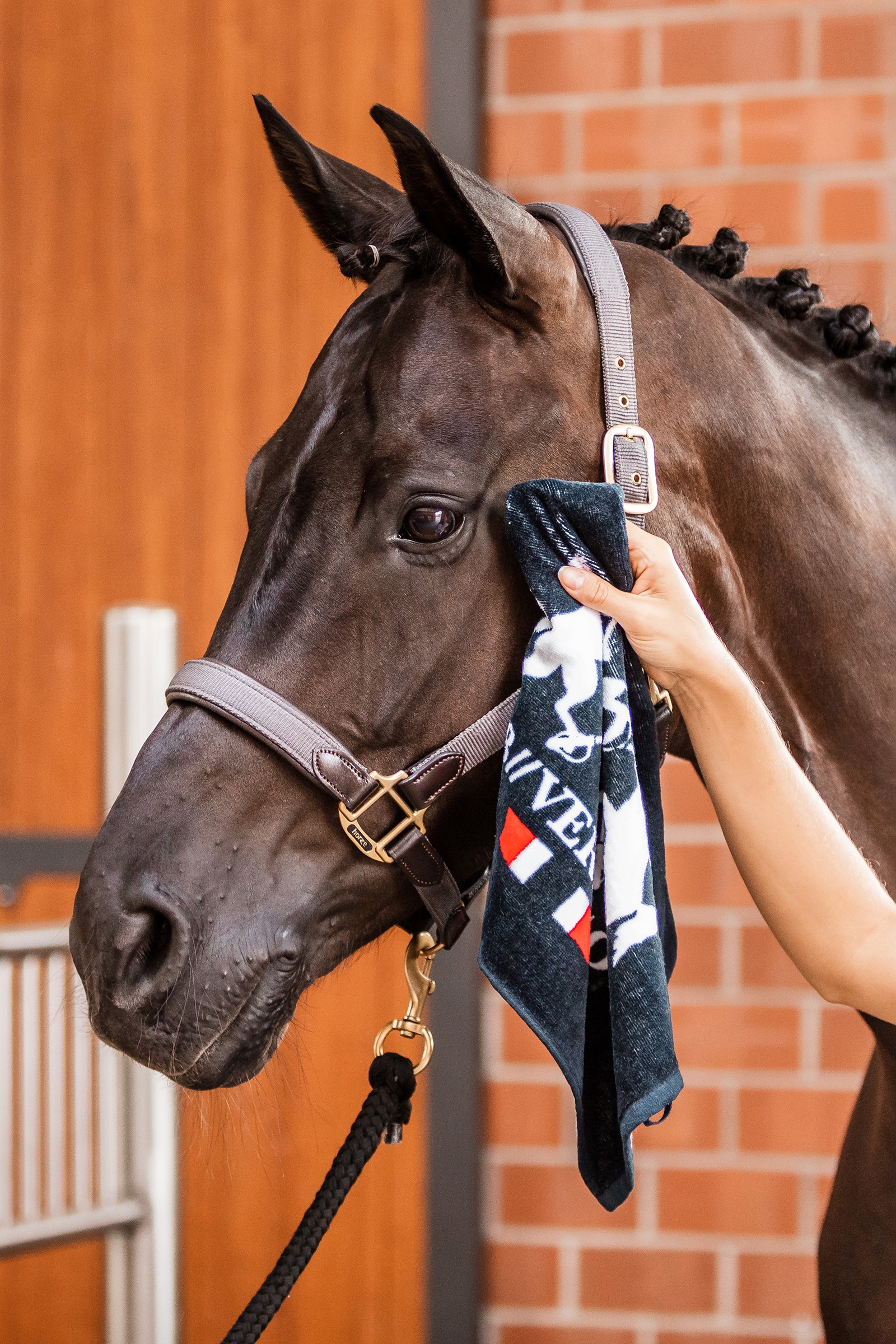 B Vertigo käsipyyhe