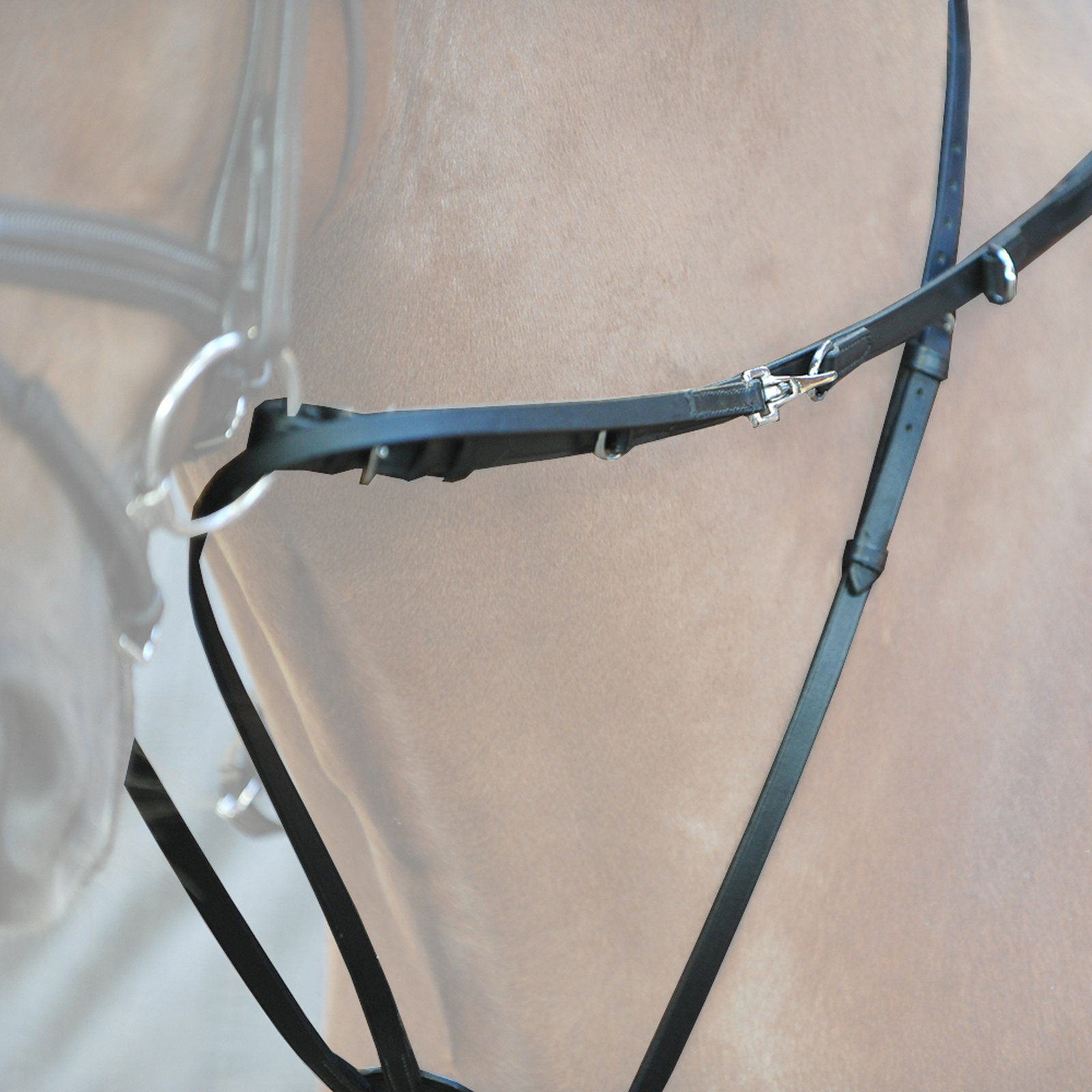 Kavalkade Thiedemann-apuohjat