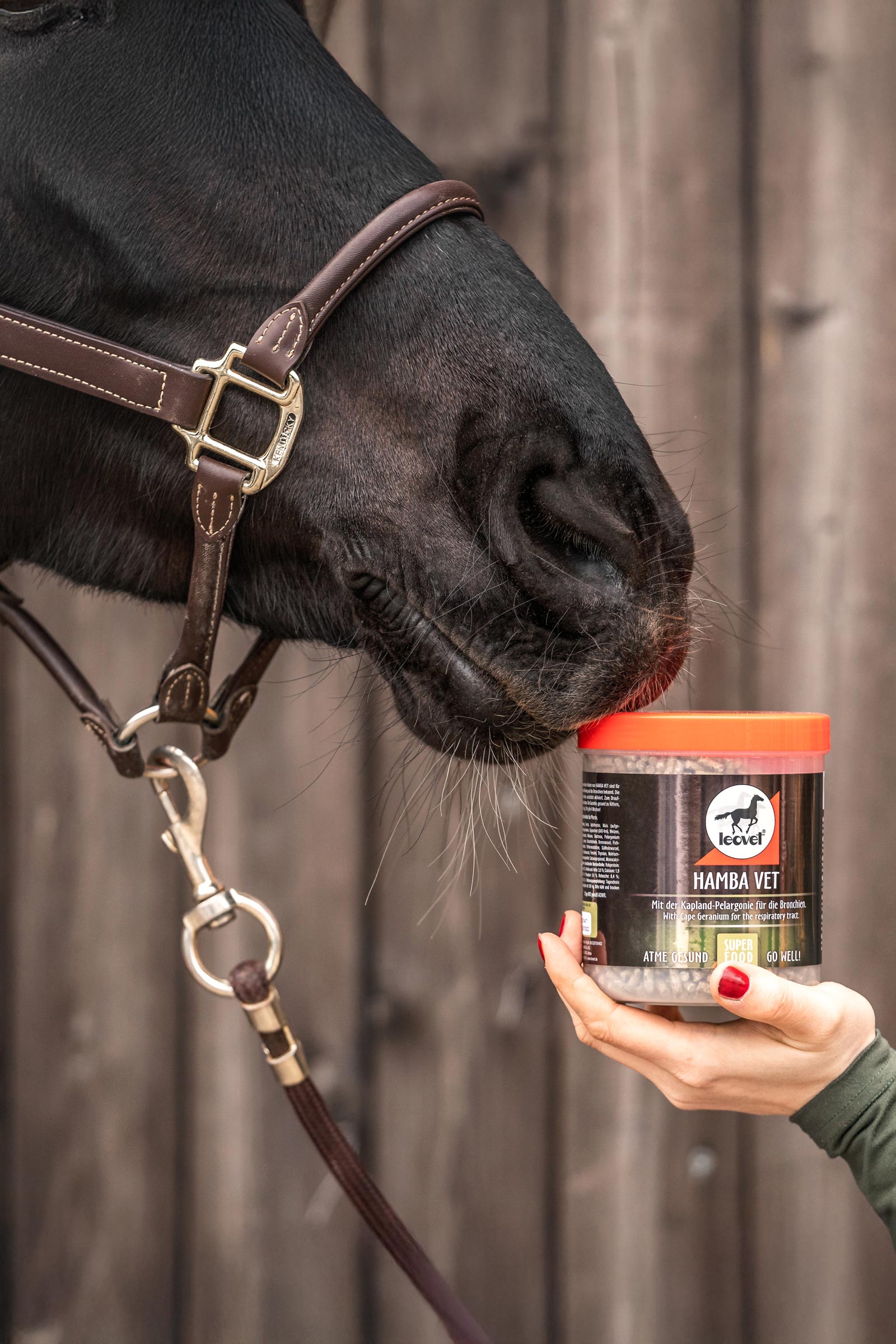 Leovet HAMBA Vet hengitysteille, 700g