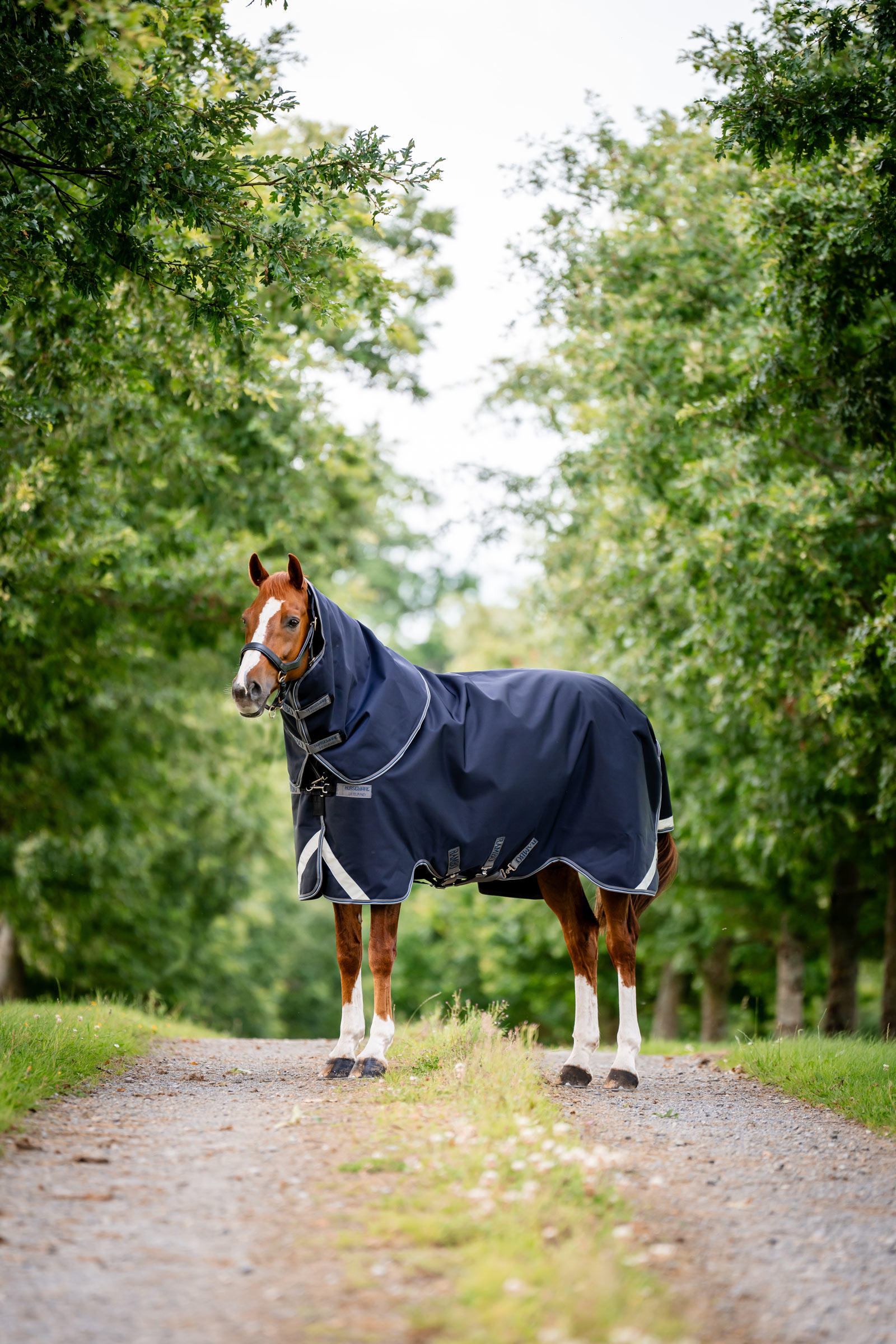 Horseware Rambo 1680D Plus Vario Layer ulkoloimi, 250 g