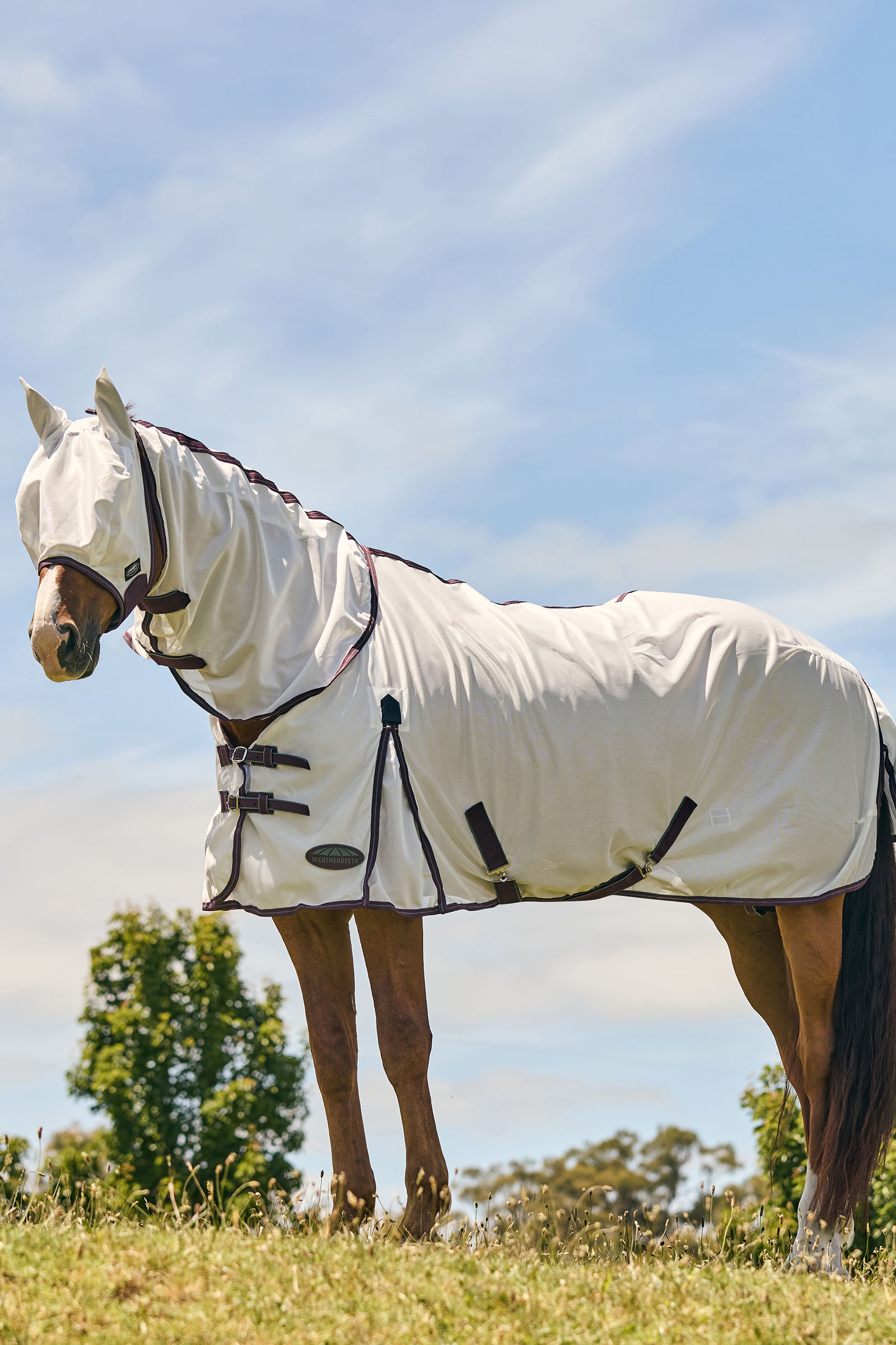 Weatherbeeta Comfitec Essential Mesh maski