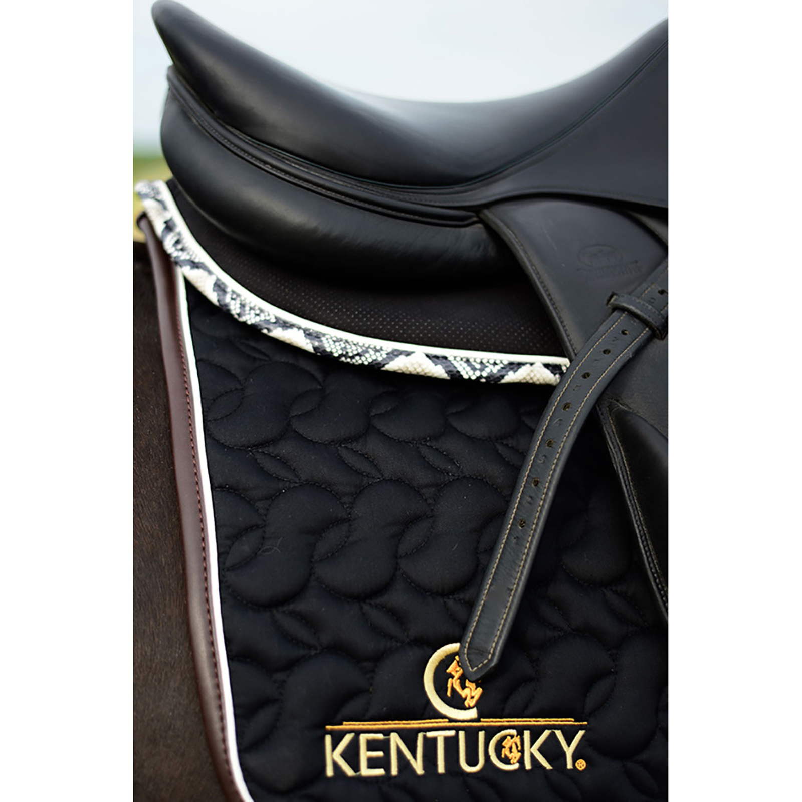 Kentucky Horsewear Absorb satulahuopa