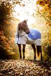 Horseware Rambo Autumn Series ulkoloimi alusloimella (0 g / 100 g)