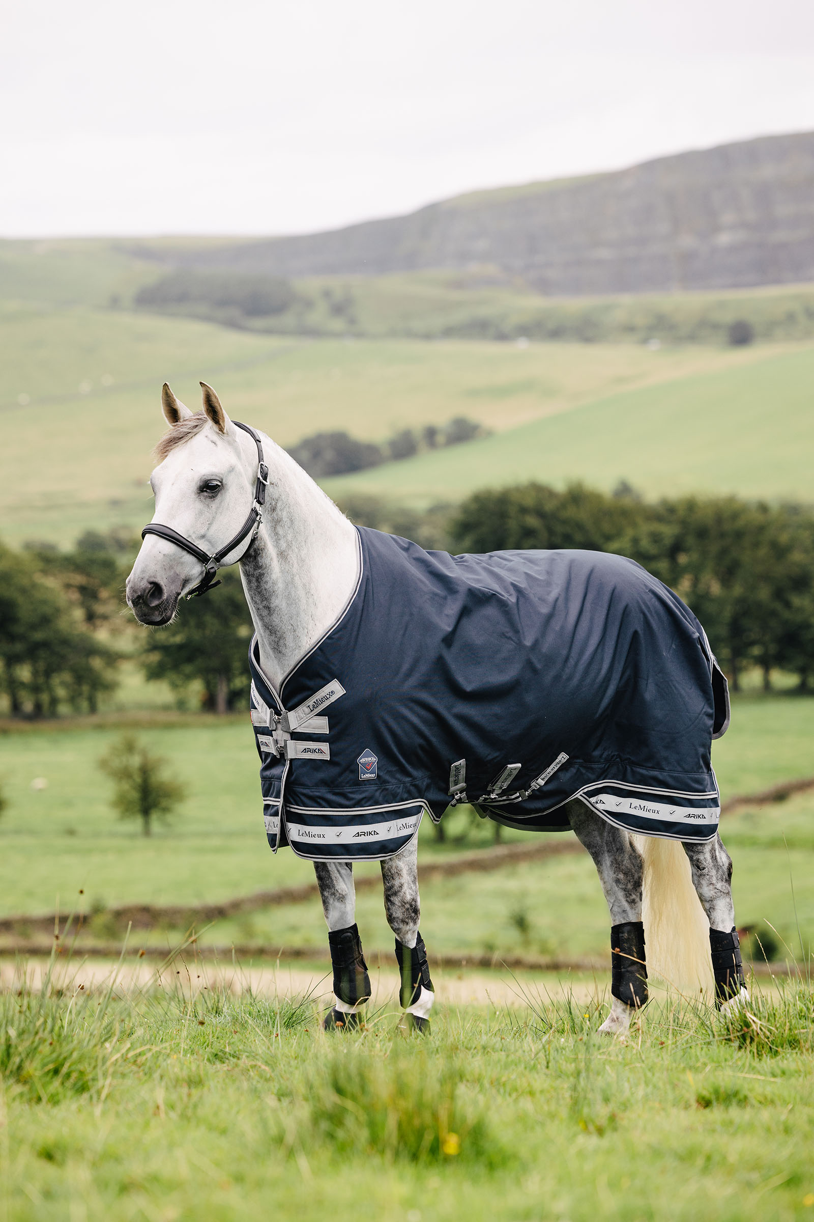 LeMieux Arika Storm-Tek loimi 50g