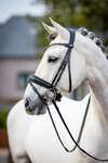 LeMieux Kudos Classic Dressage Bridle