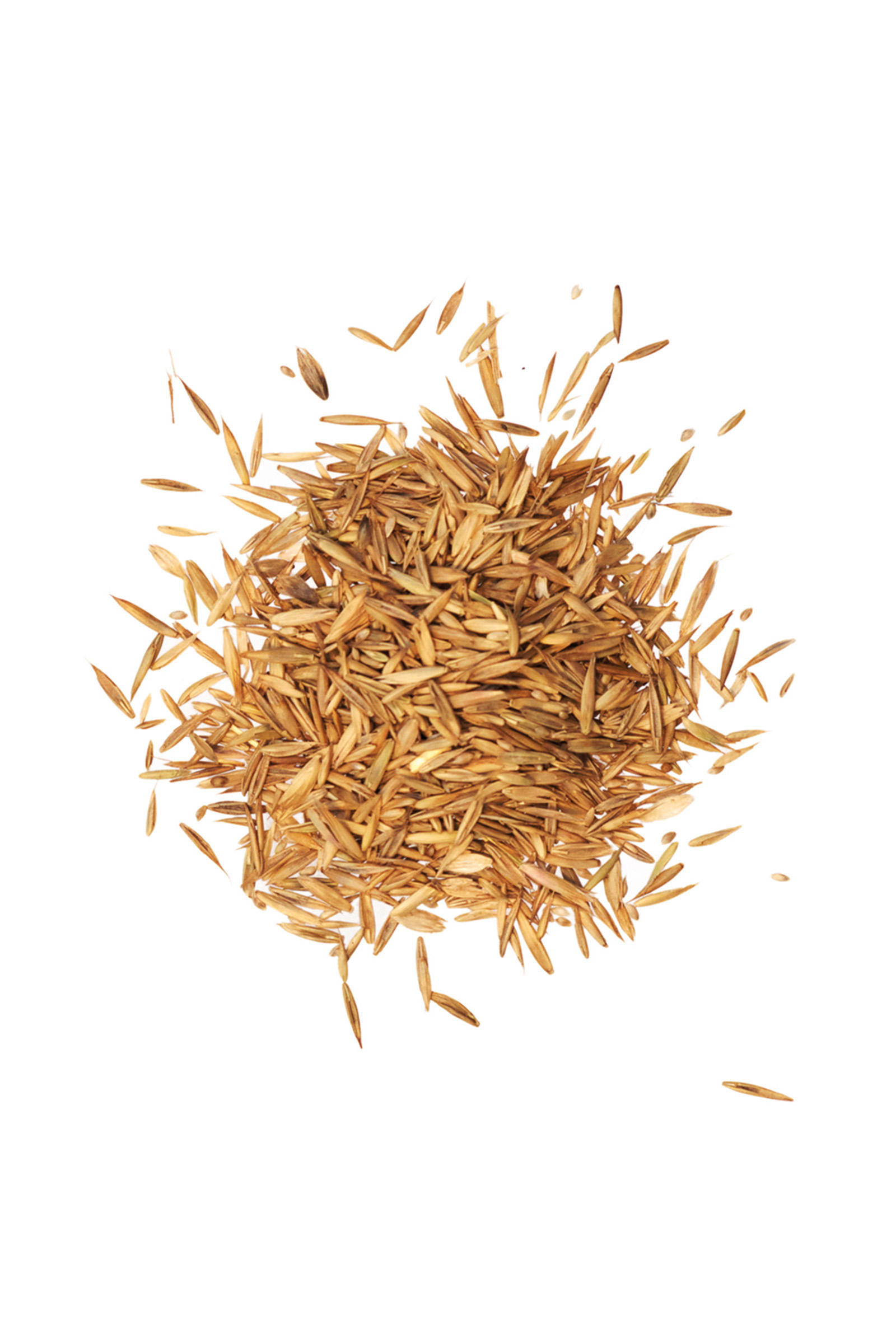 Agrobs Pre Alpin kylv&ouml;siemenet, 10 kg