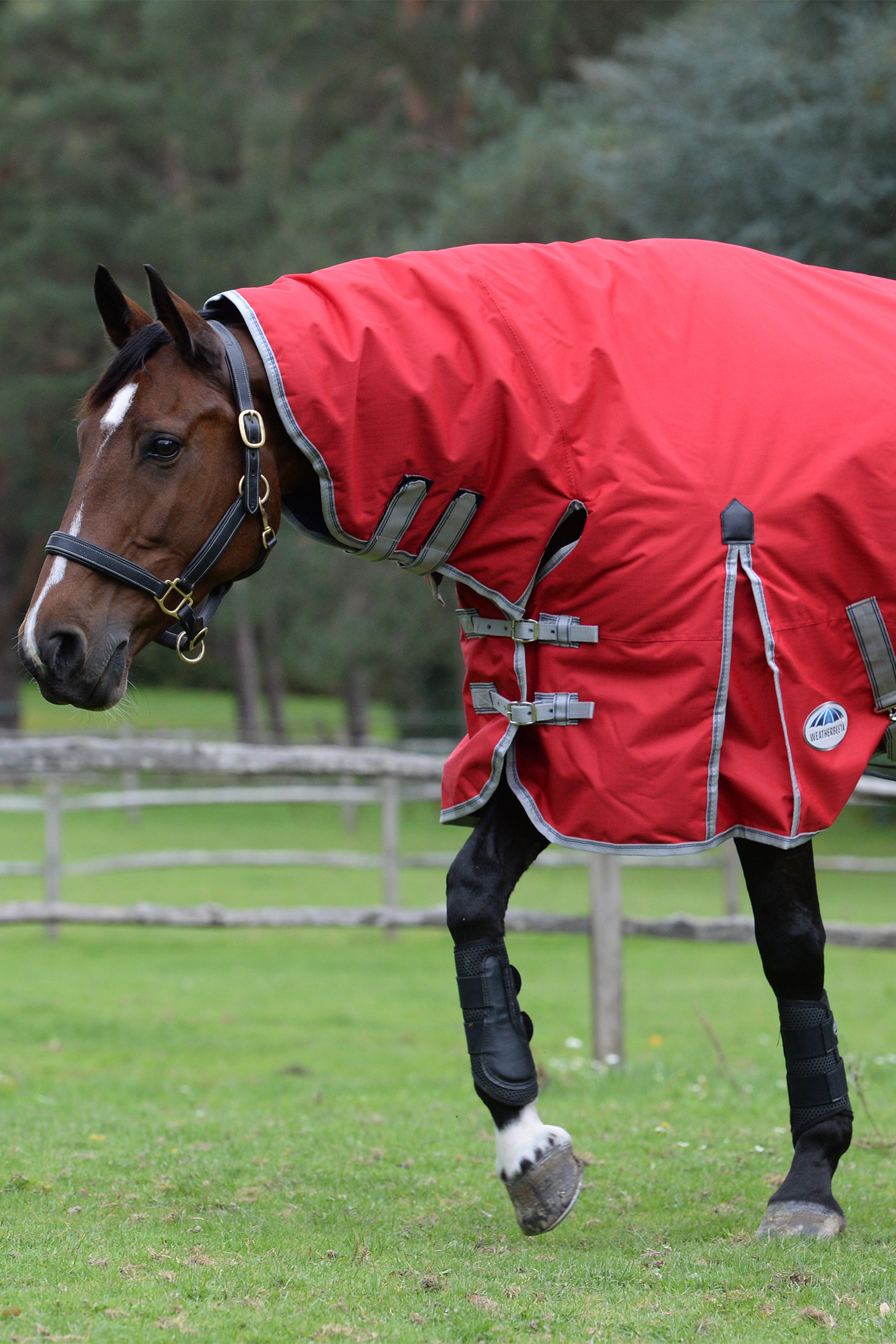 Weatherbeeta Comfitec Classic Loimi integroidulla kauluksella, 50g