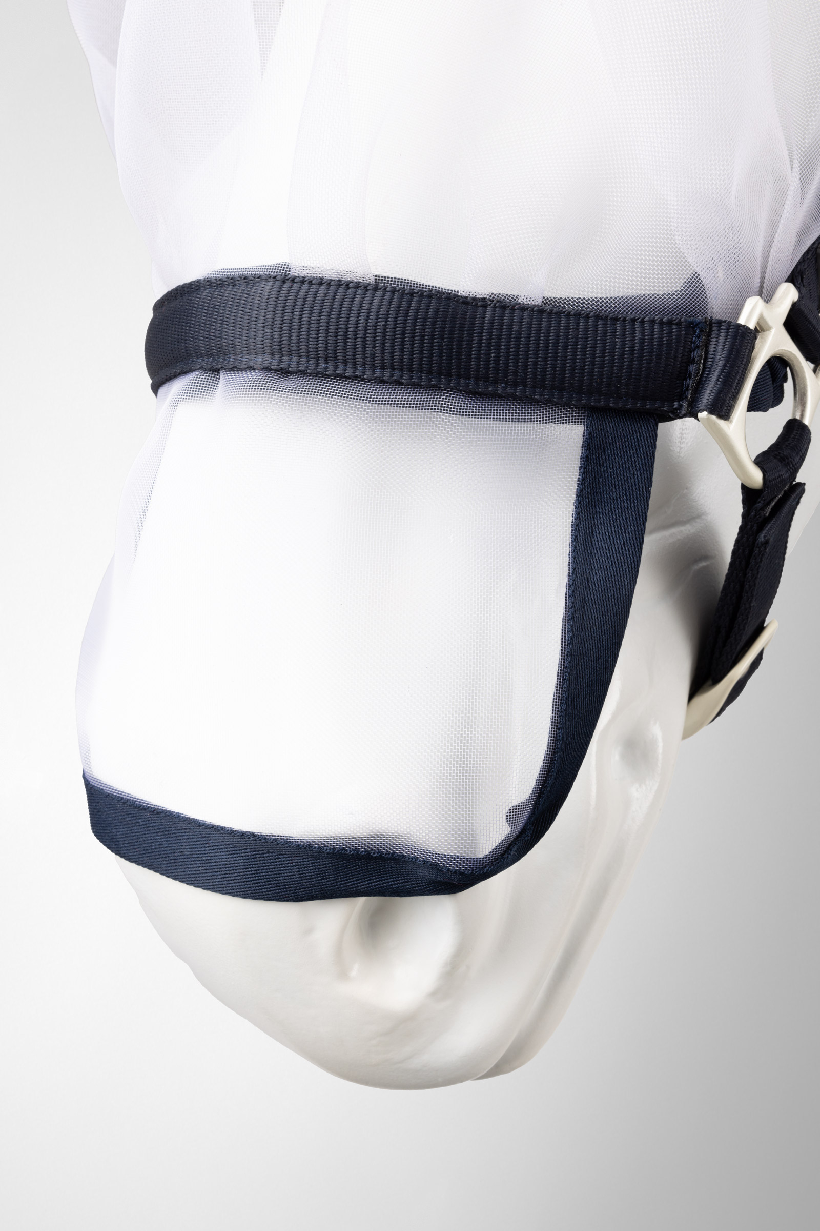 Horze Paso Fino riimu &ouml;t&ouml;kk&auml;hupulla  