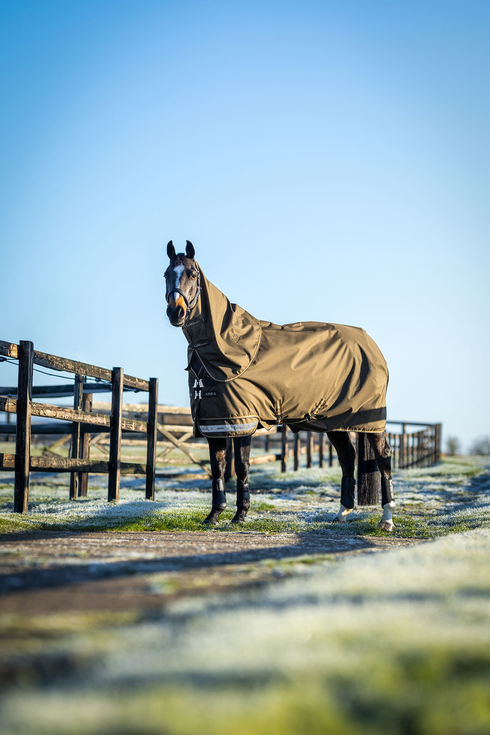 LeMieux Arika ripstop ulkoloimi irrotettavalla kaulakappaleella 50 g