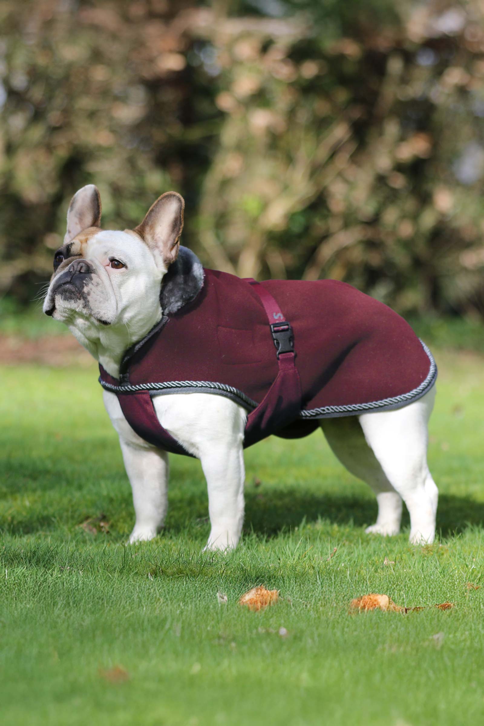 Bucas Show-Line N&auml;yt&auml; matto Koira