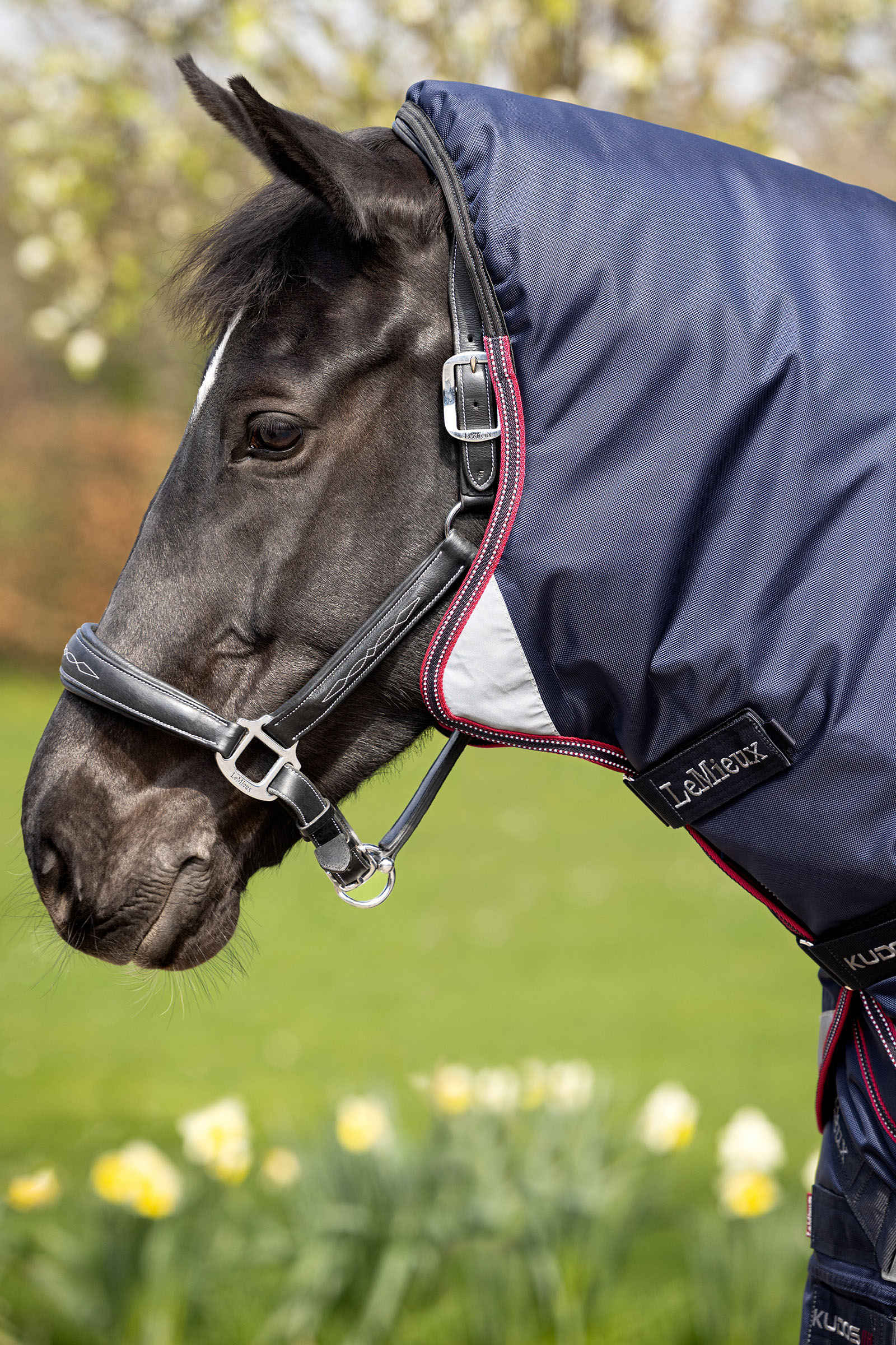 LeMieux Kudos Thermo Layer ulkoloimi 100g