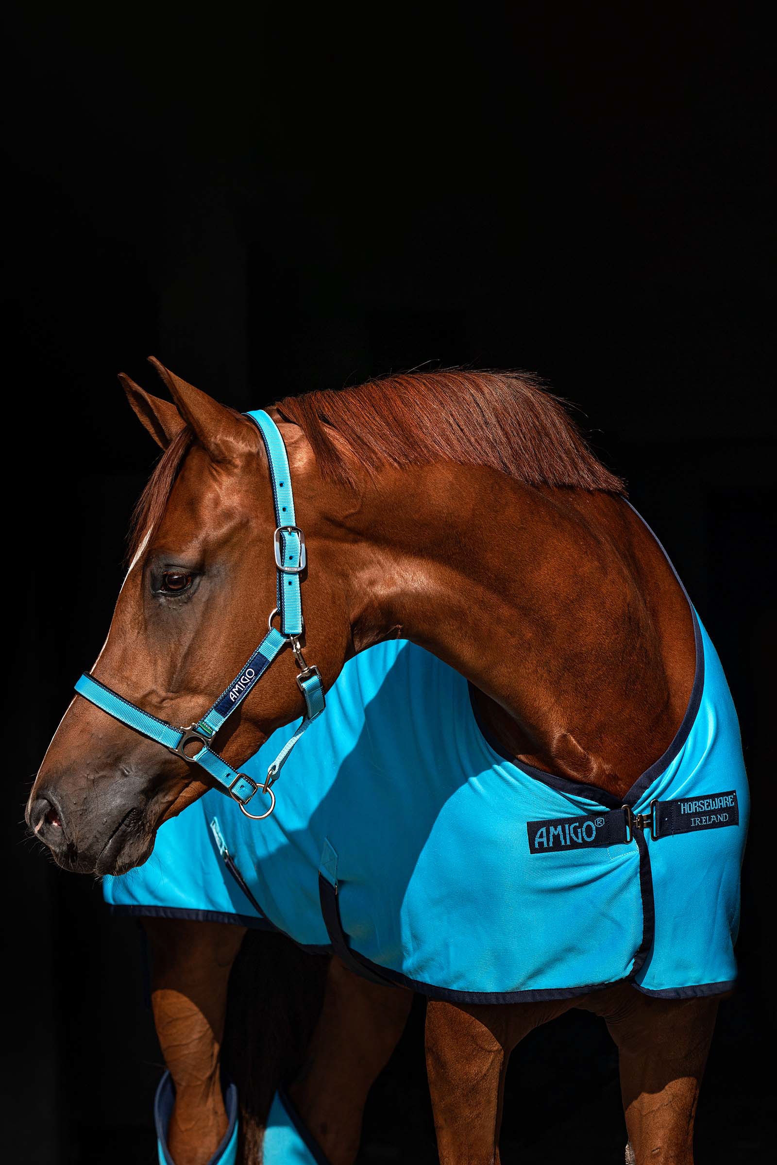 Horseware Amigo Jersey cooler-loimi