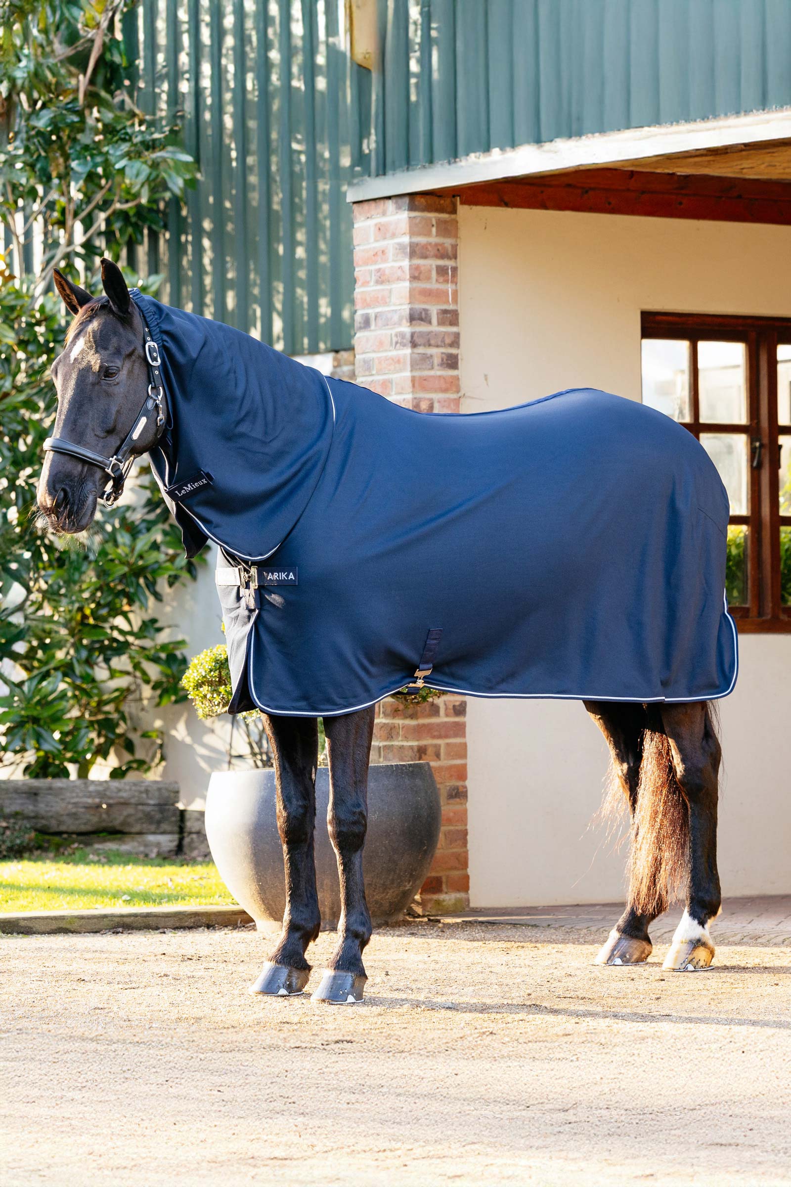 LeMieux Arika DryEase -loimi