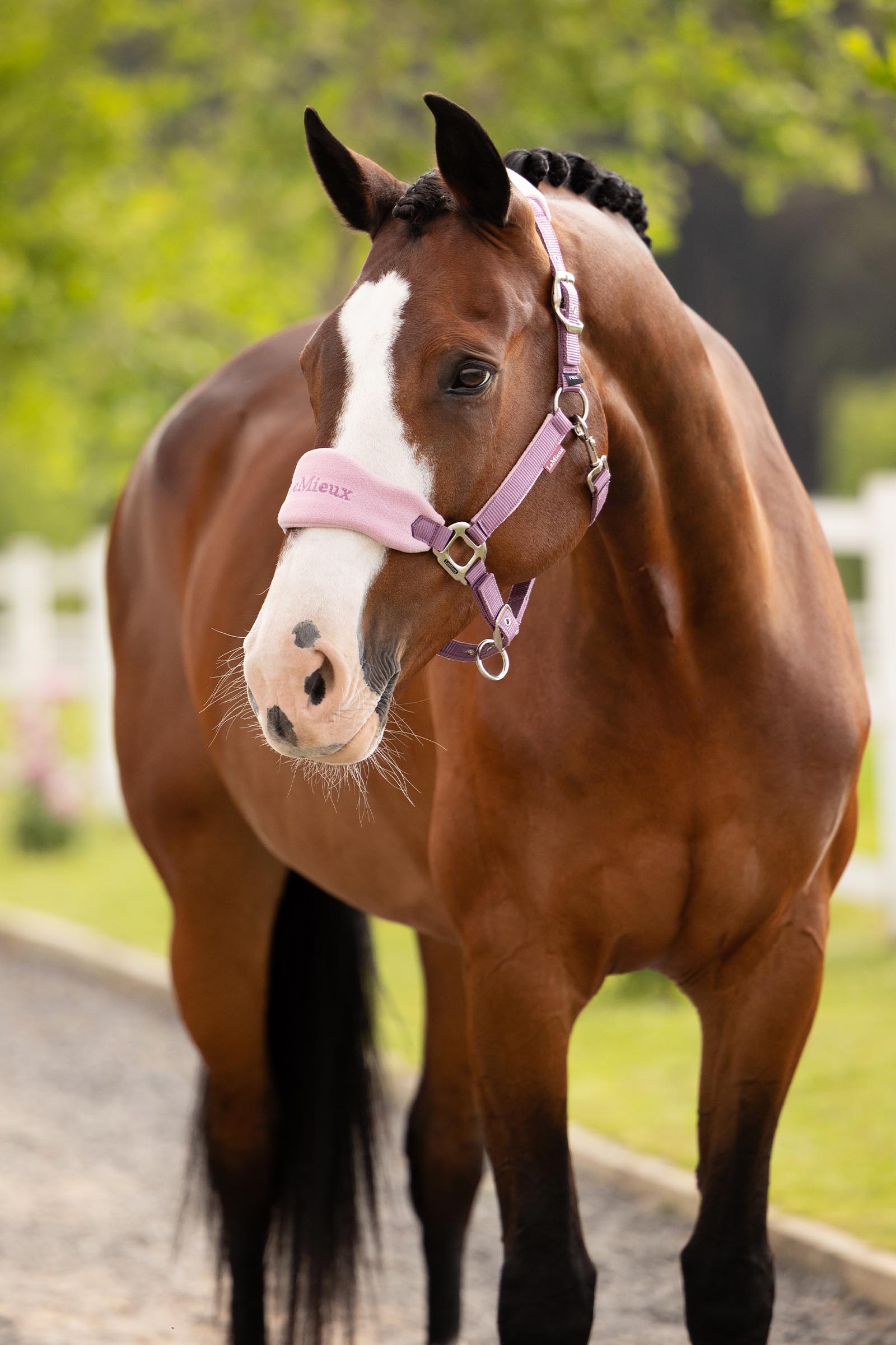 LeMieux Vogue riimu ja naru setti