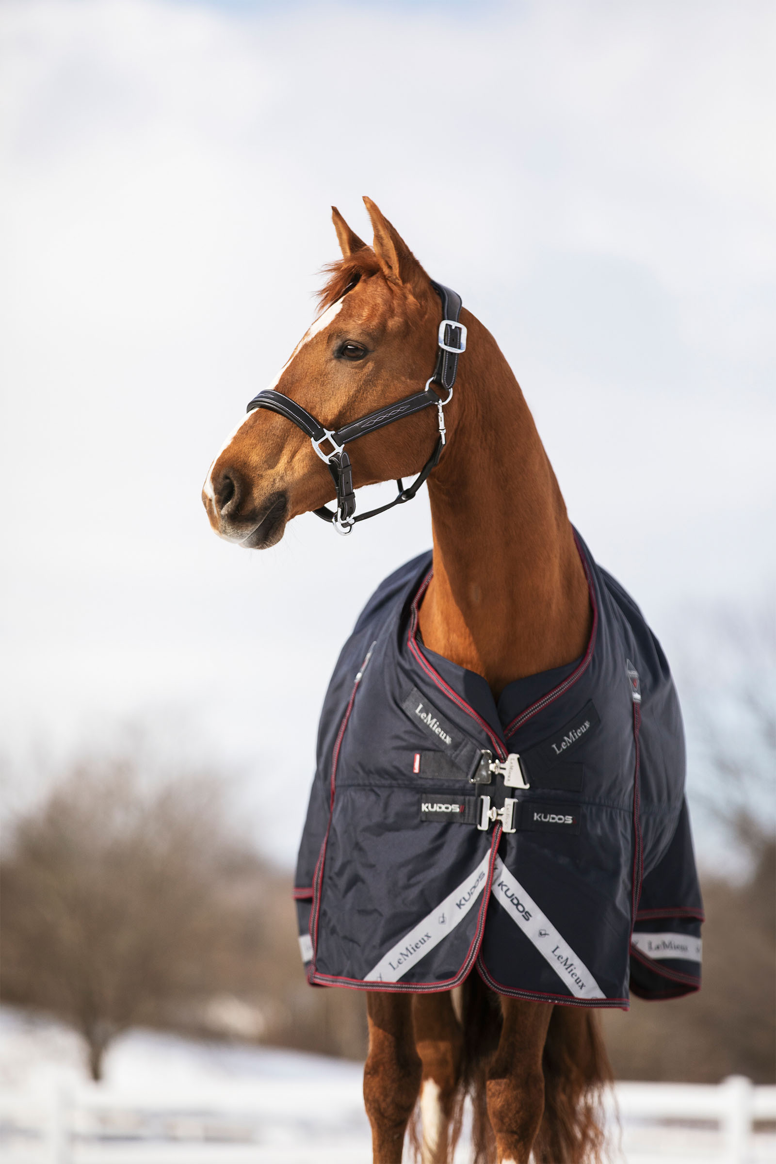 LeMieux Kudos ulkoloimi 350g