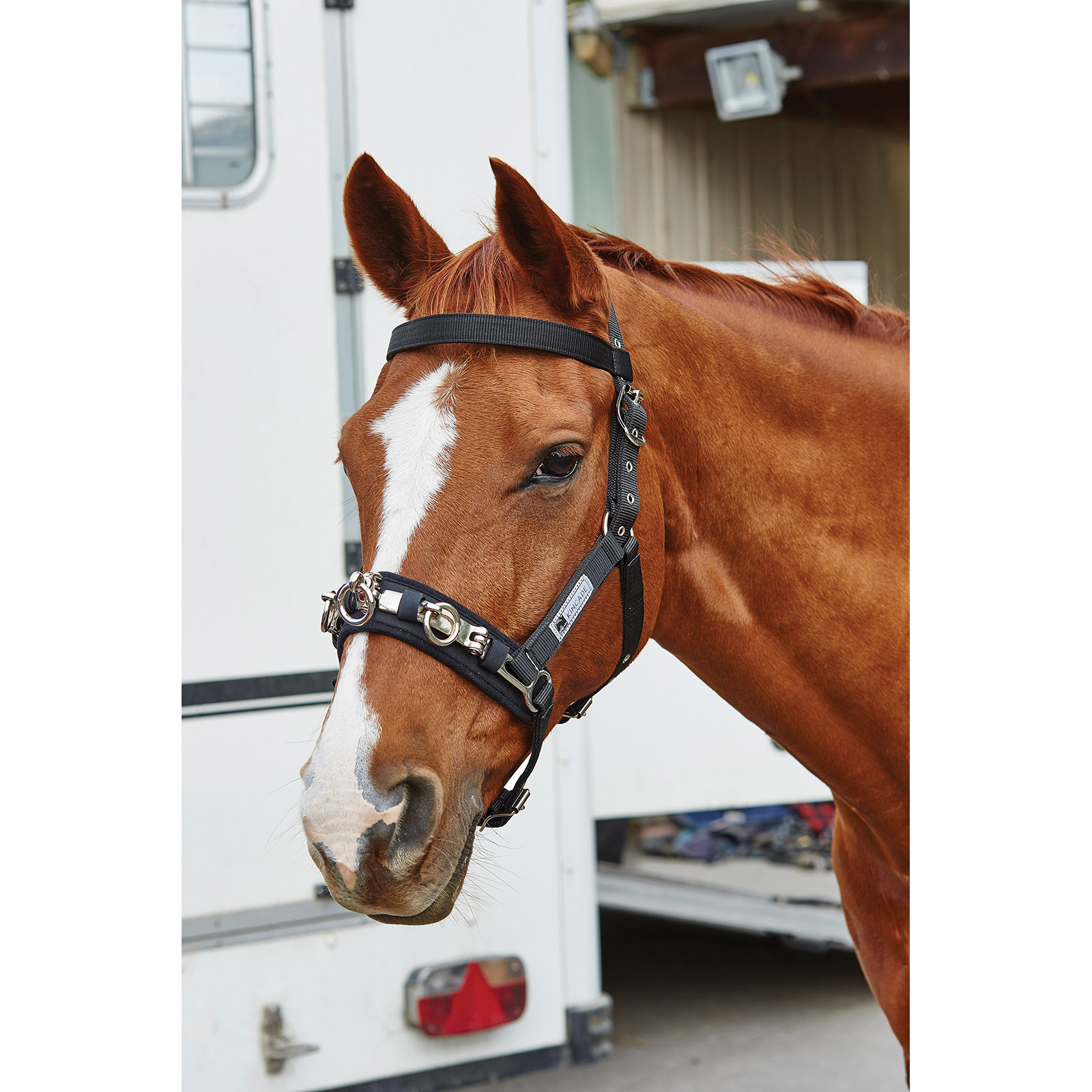 Kincade Coordinate -juoksutusriimu