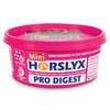 Horslyx Pro-Digest Balancer nuolukivi, 650g