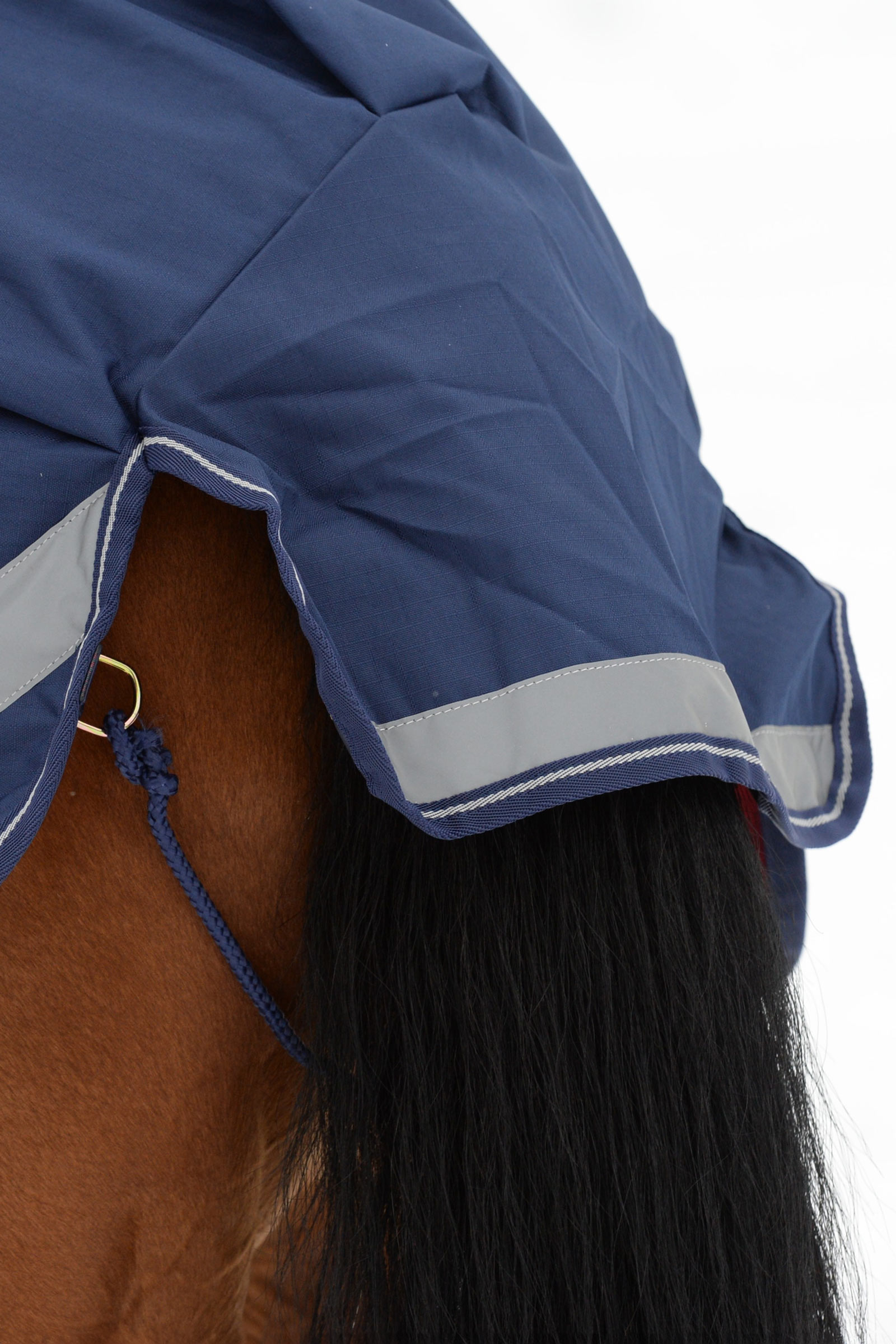 Bucas ratsastusloimi