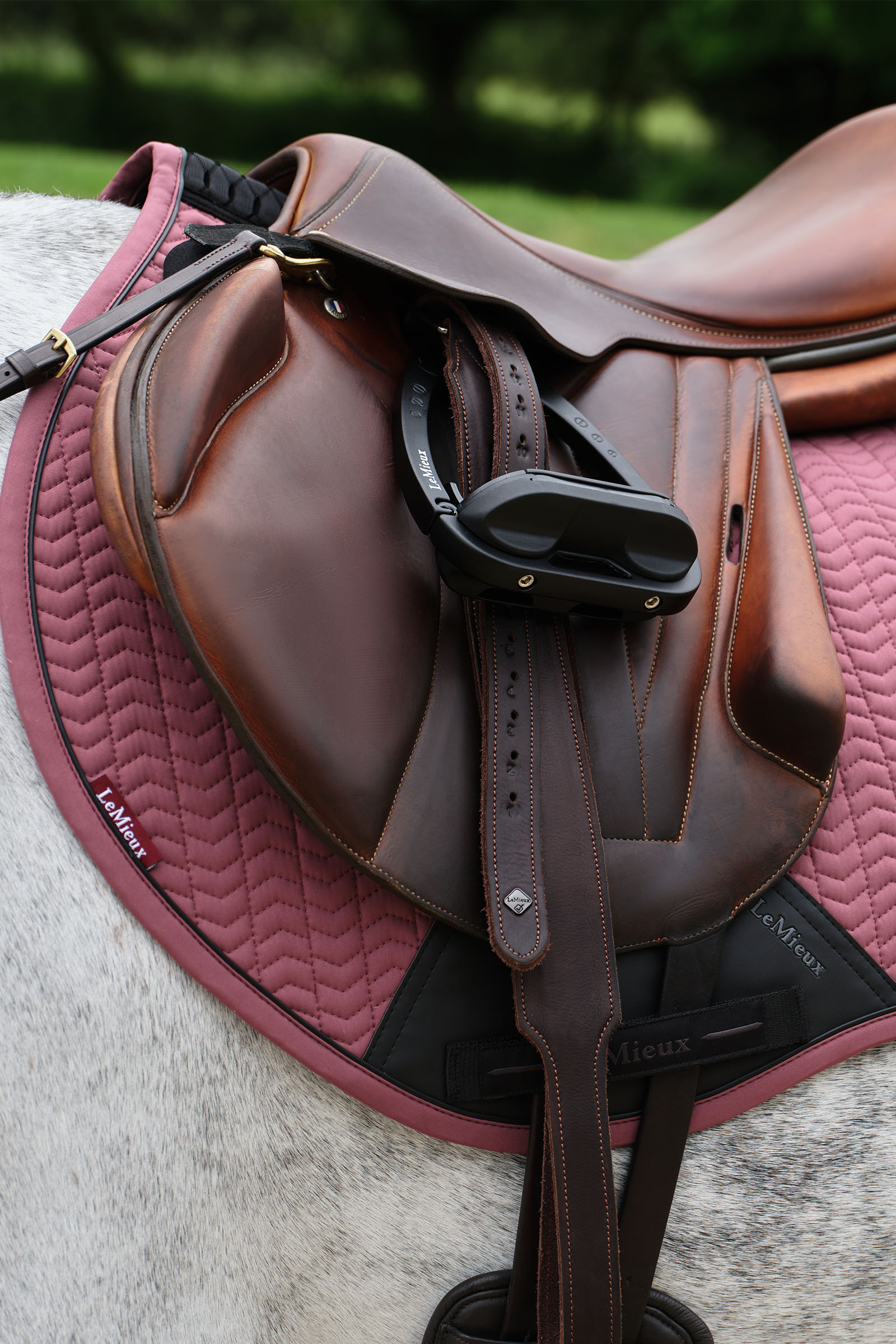 LeMieux Essence Eurojump Estesatulahuopa