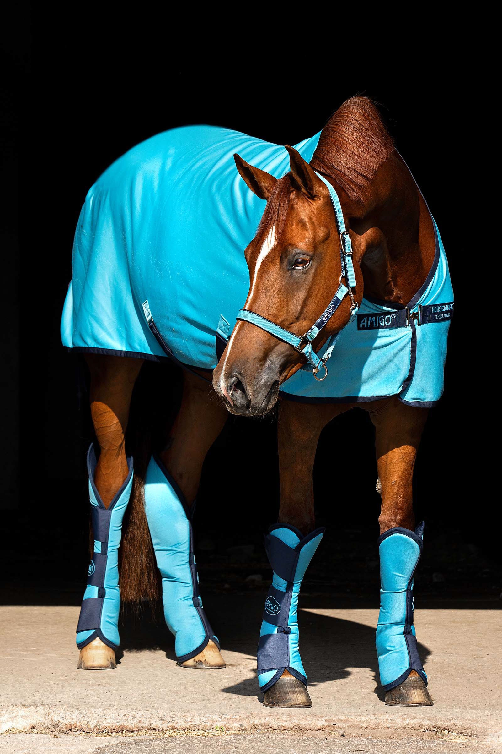 Horseware Amigo Jersey cooler-loimi