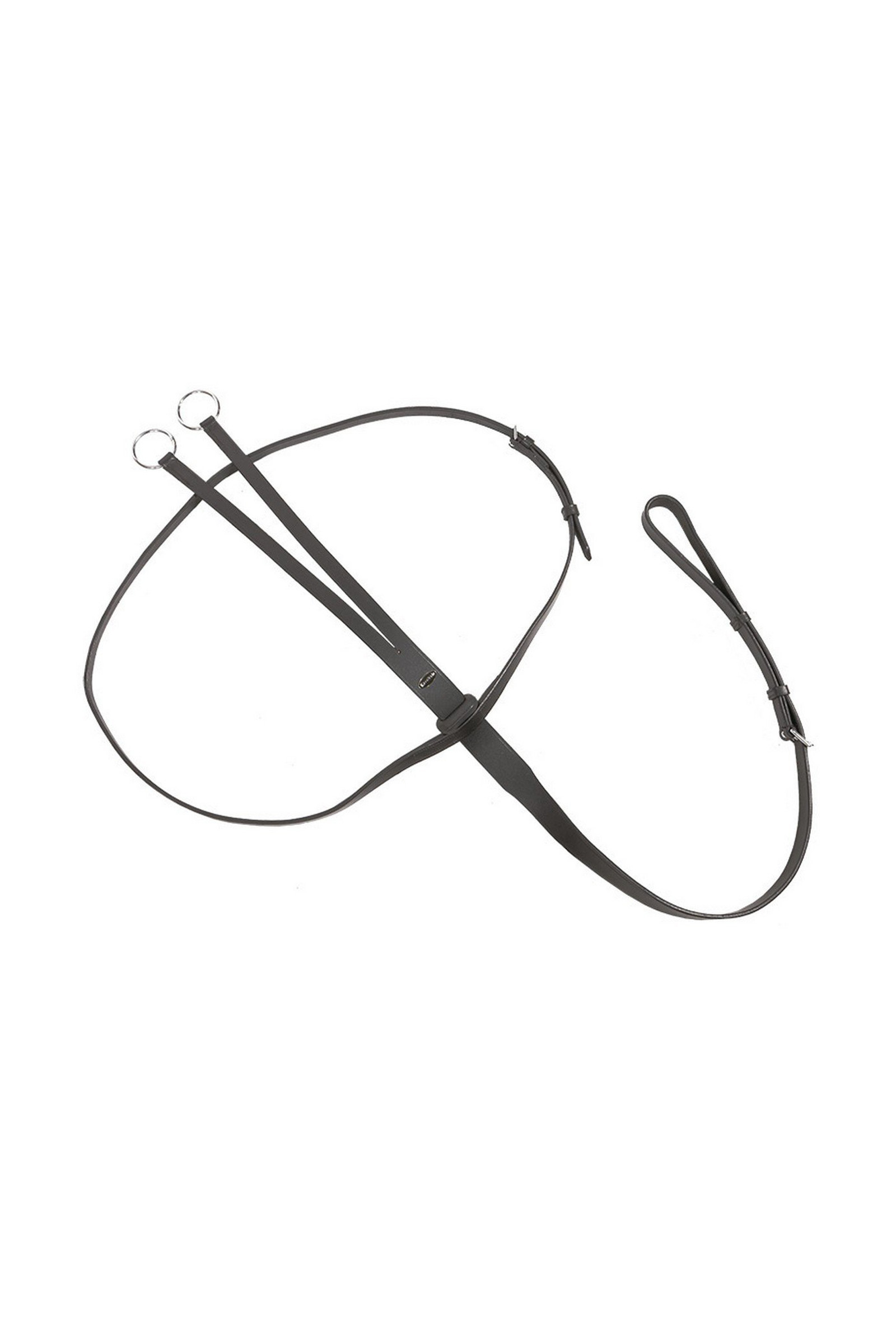 Brown Kavalkade martingaali