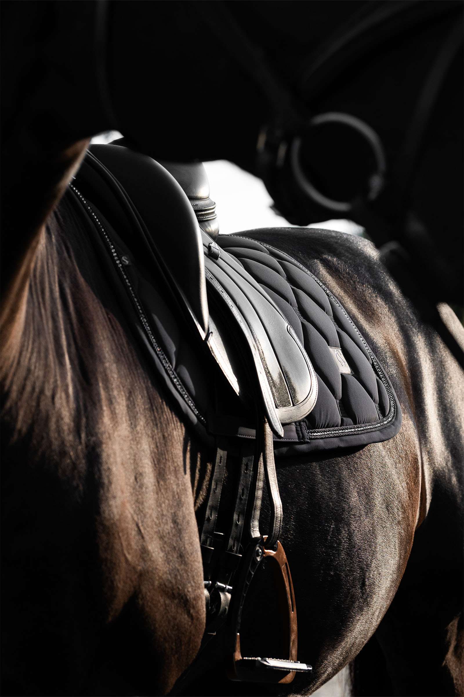 Eskadron Classic Sports SS25 Softshell Crystal koulusatulahuopa