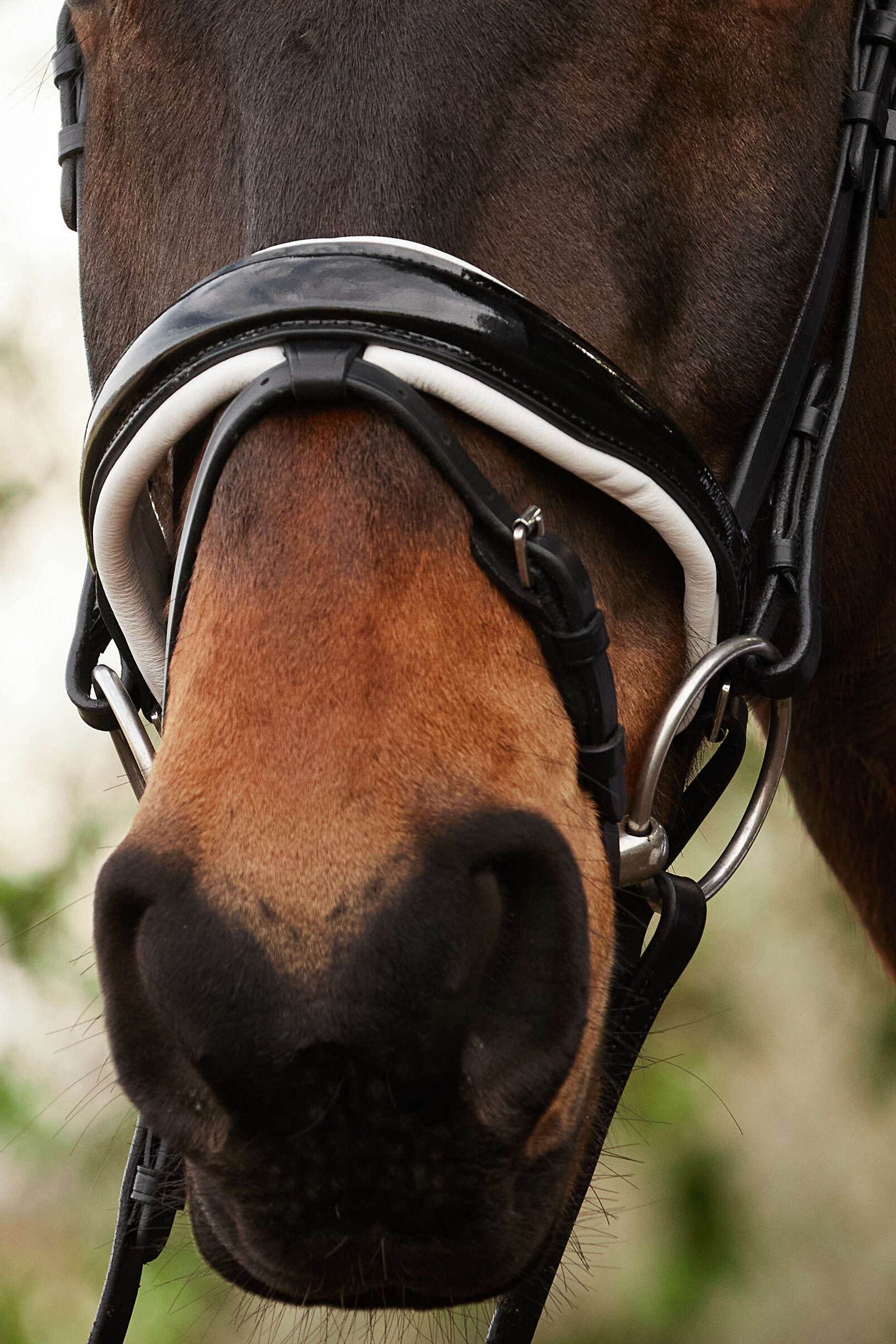 Kavalkade Charlotte koulusuitset pullback-turpahihnalla