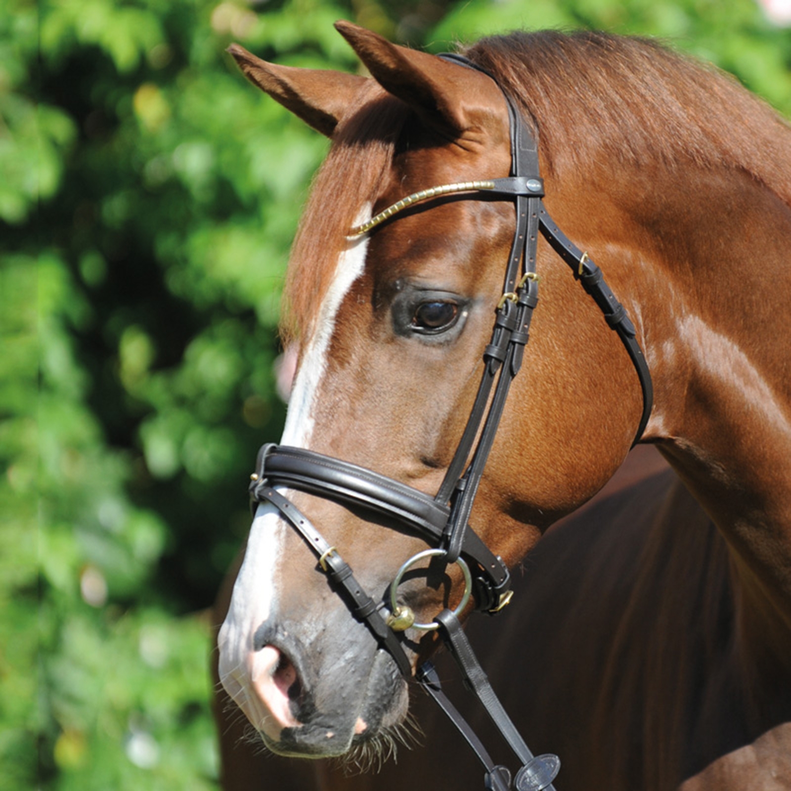 Brown/Brass Kavalkade Clinchesse Bridle