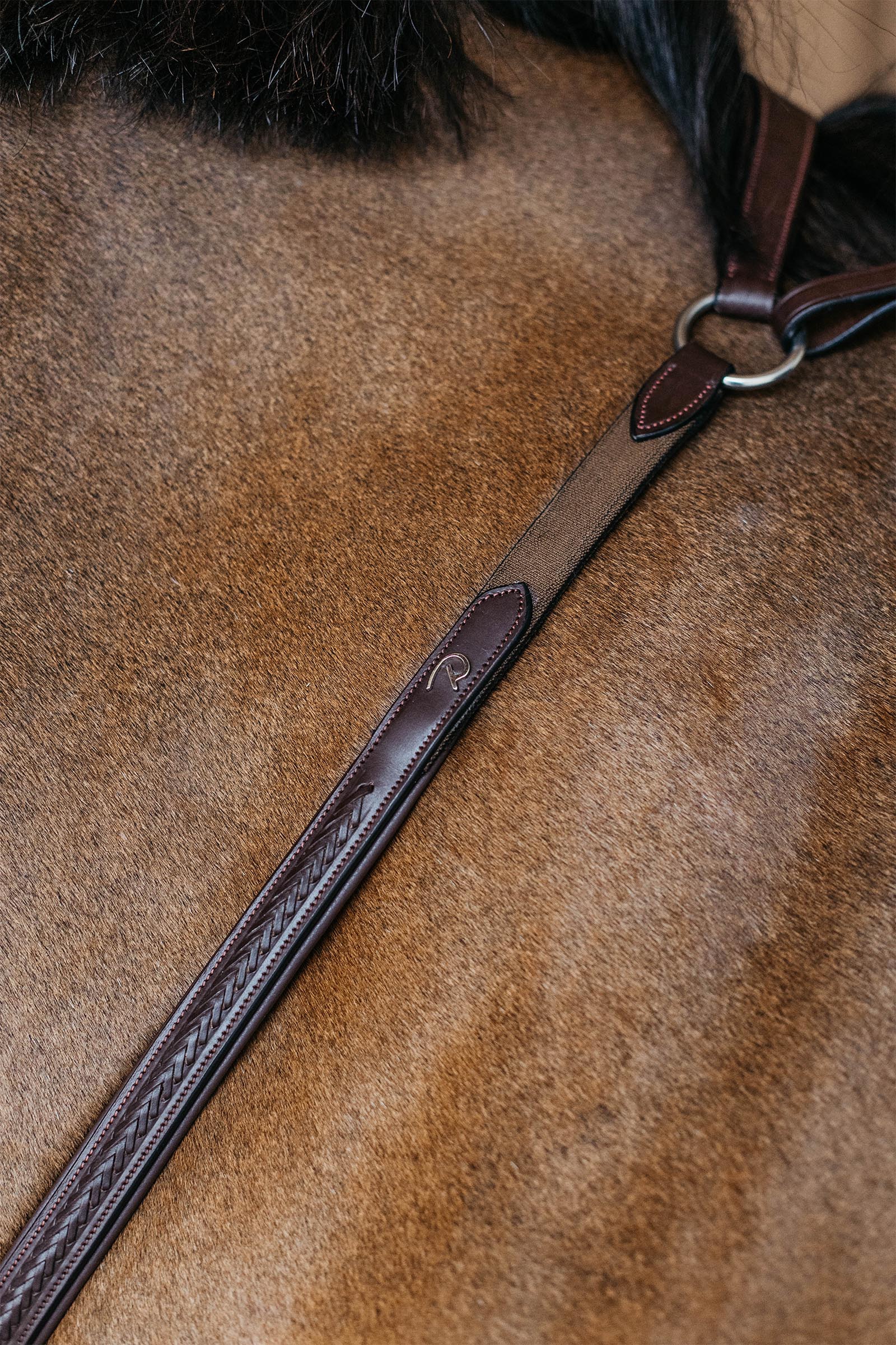 Dy'on New English punottu rintaremmi, jossa siltaosa