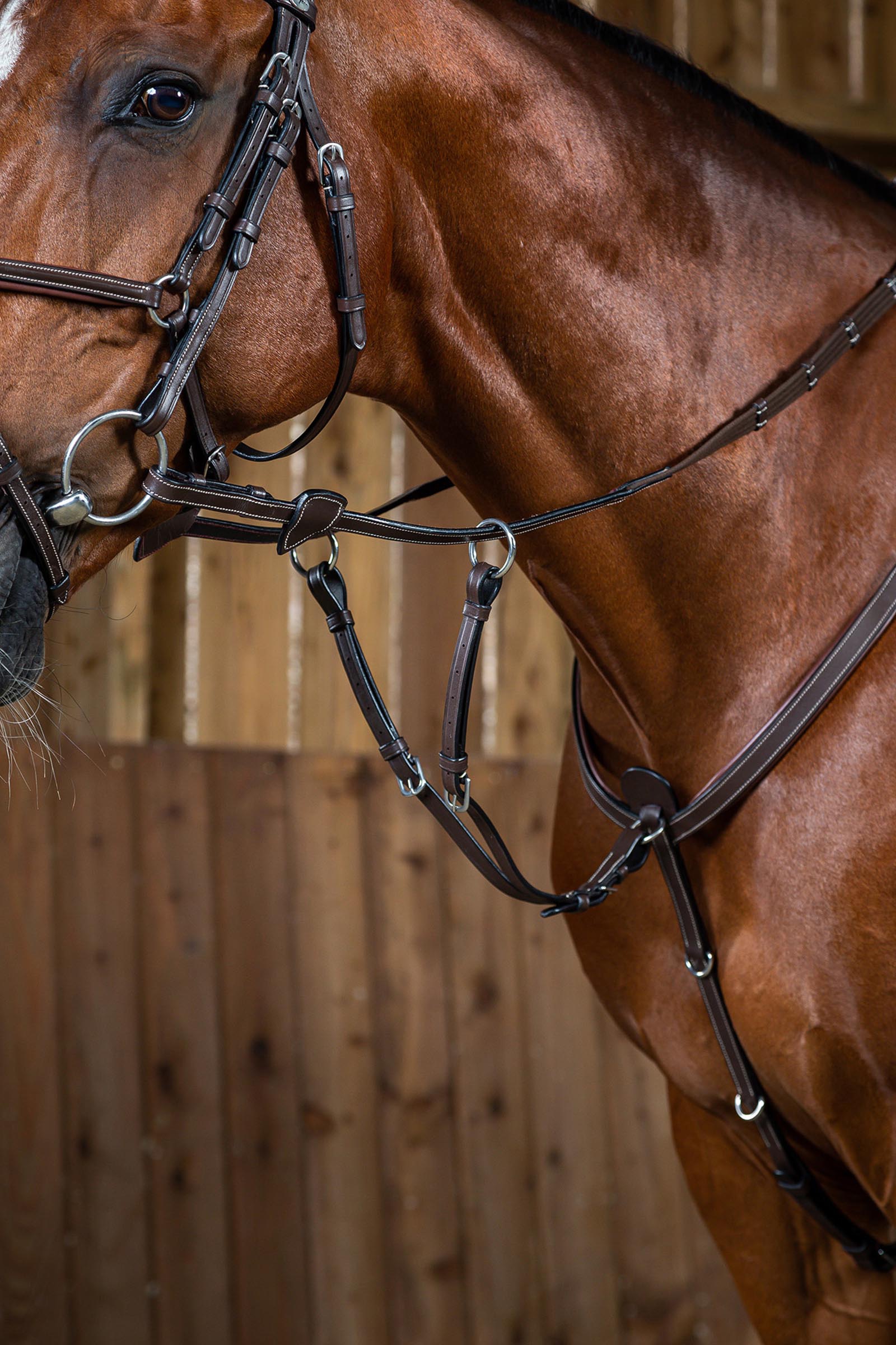 Brown Dy'on Working martingaaliosa