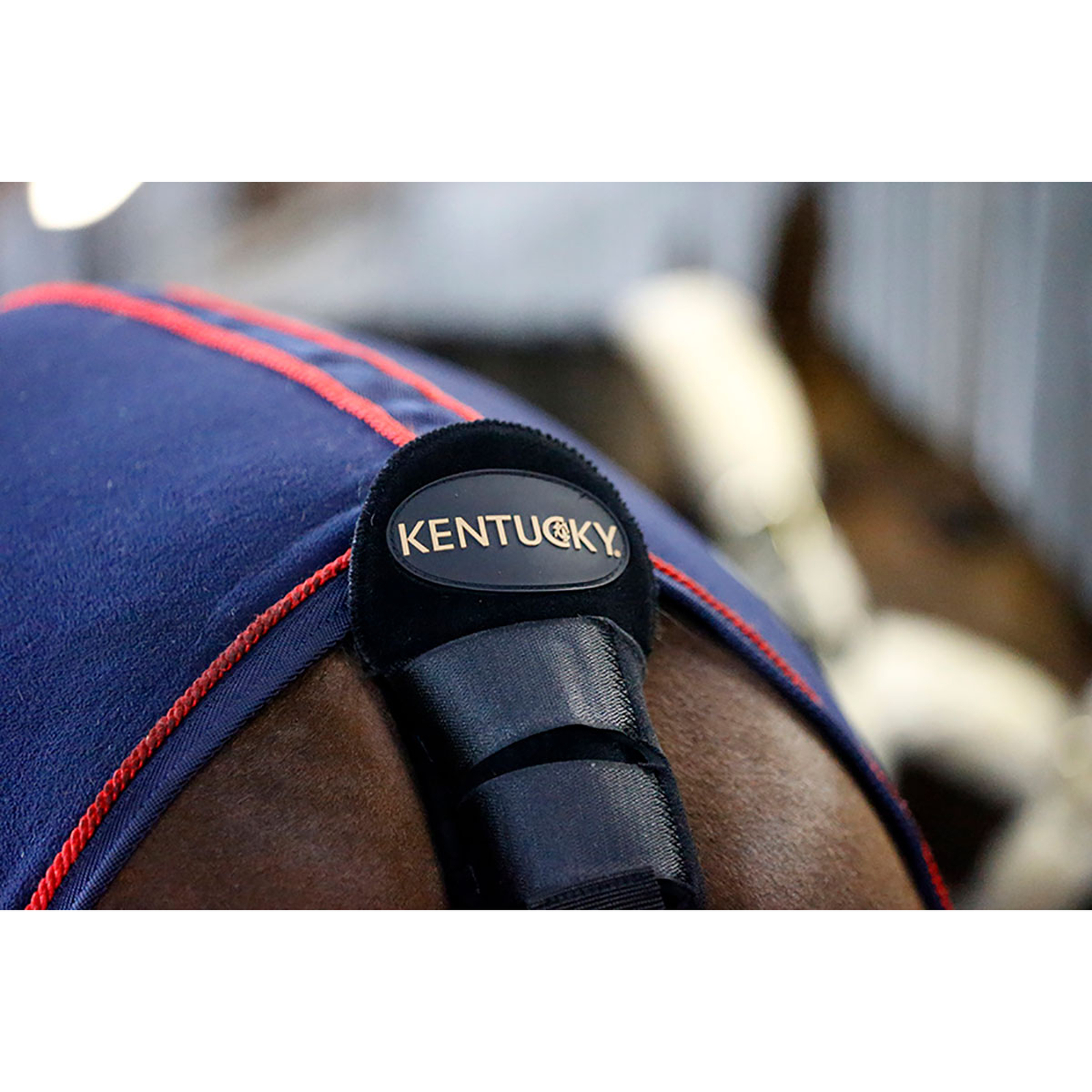 Kentucky Horsewear Häntäsuoja/häntäpussi