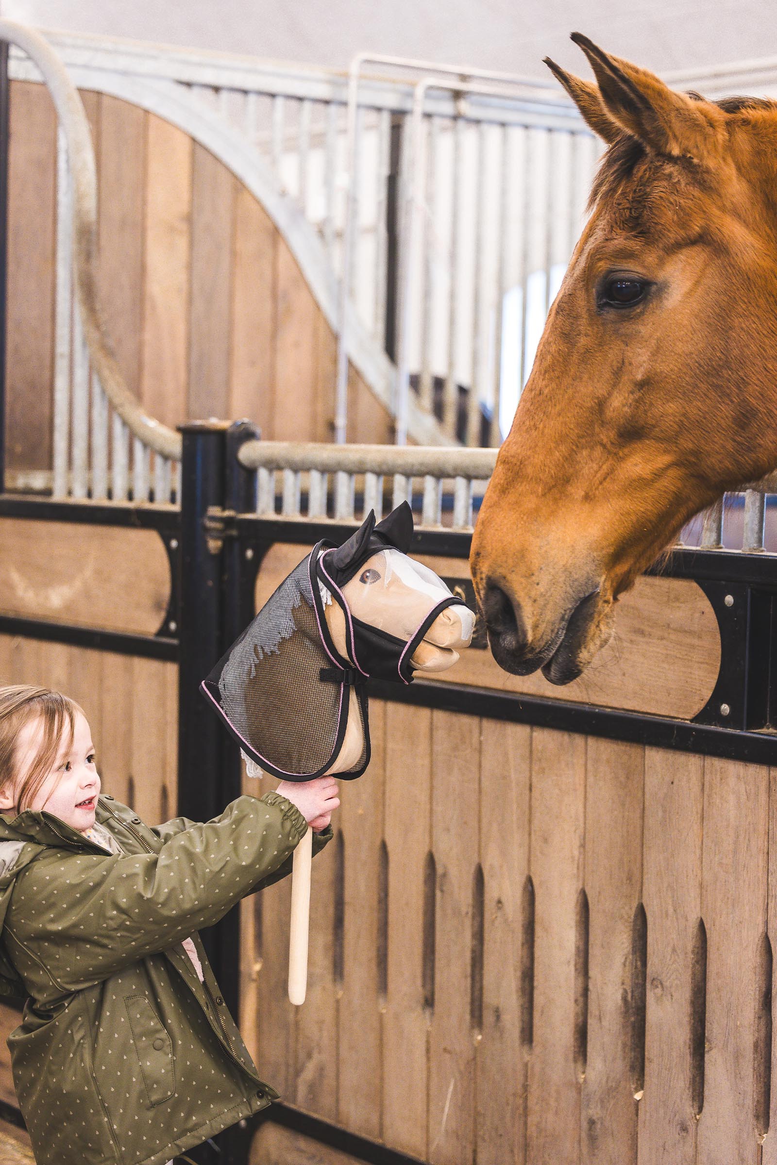 My Hobby Horse hy&ouml;nteis loimi