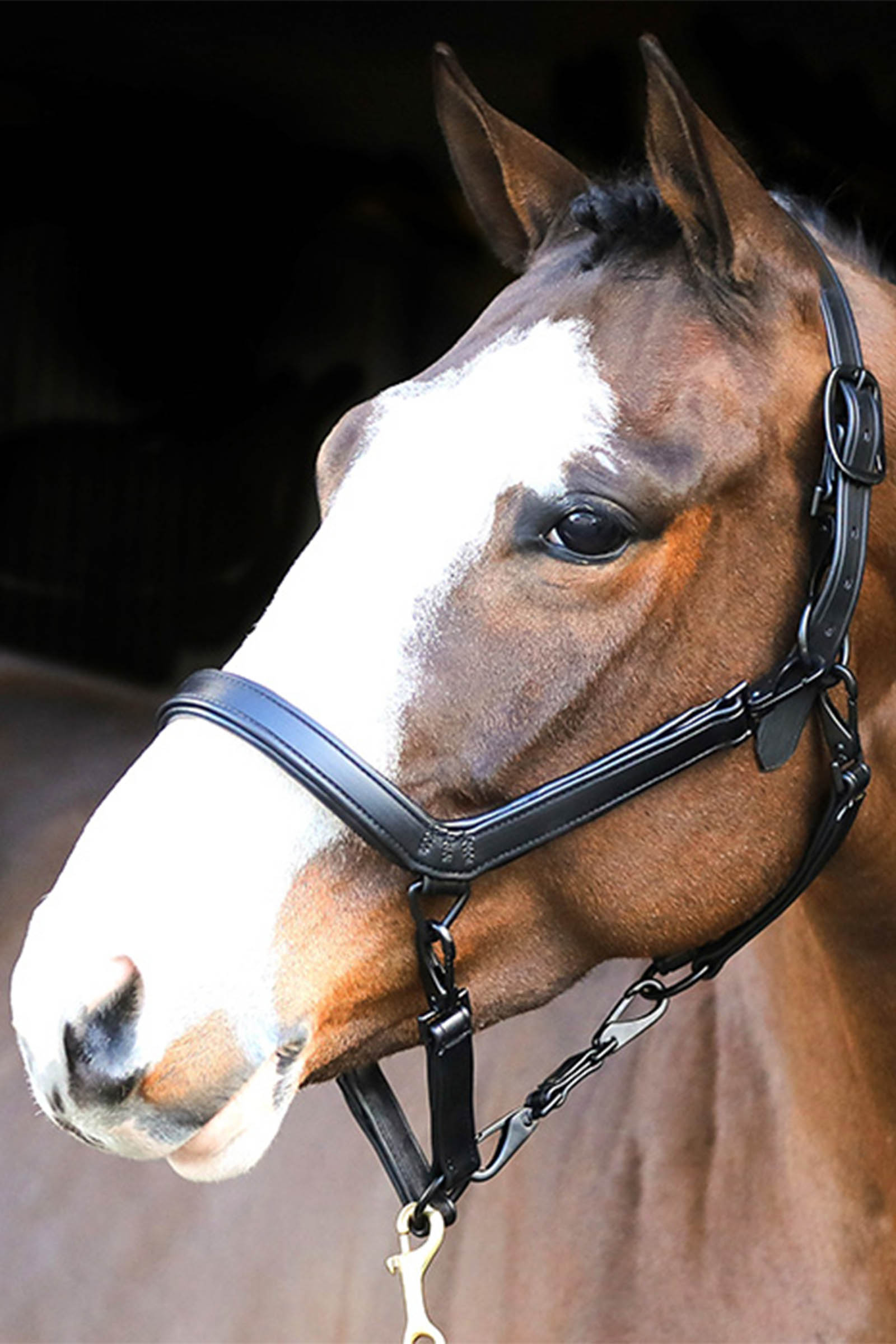 Liveryman Nahkainen klippaus P&auml;&auml;panta