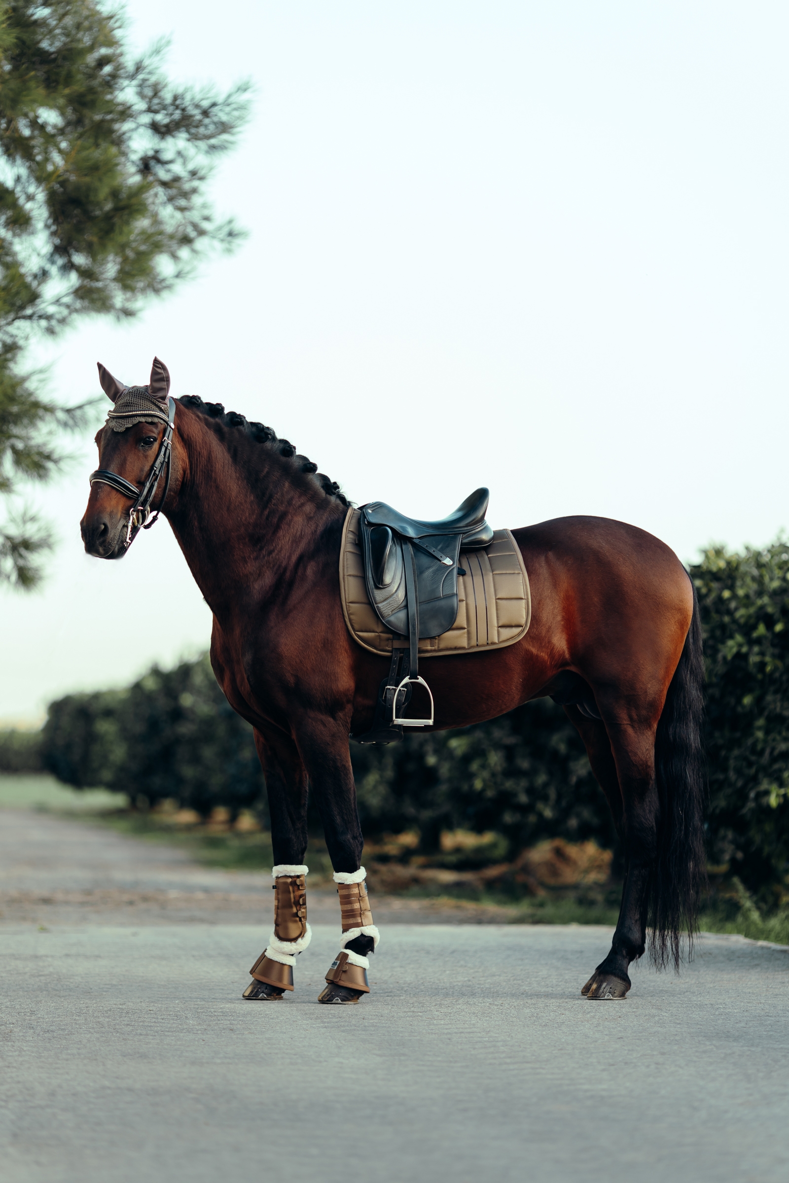 B Vertigo Drew korvahuppu