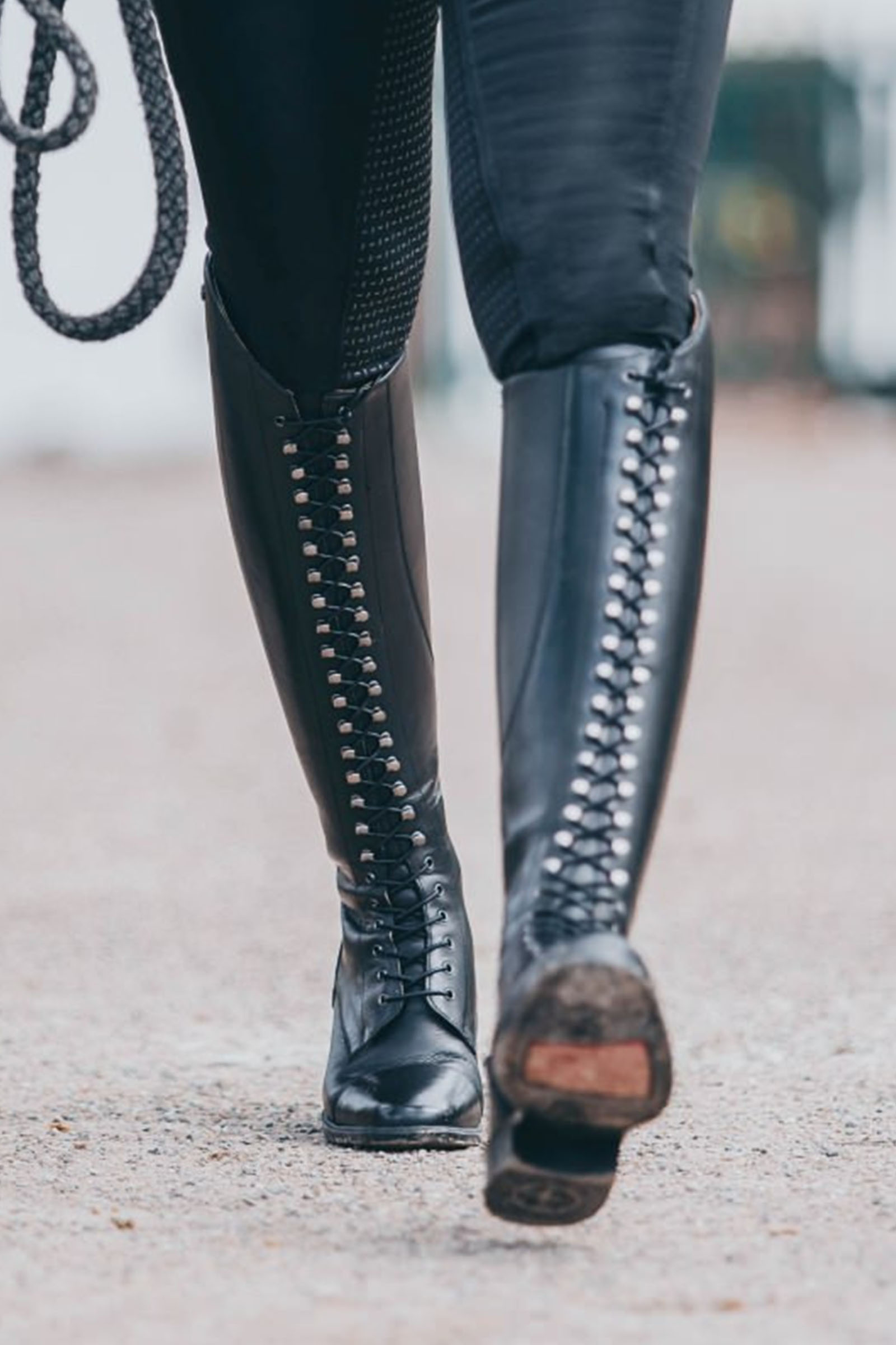 Suedwind Footwear Legacy Venado Nauhalliset Korkeat Ratsastussaappaat