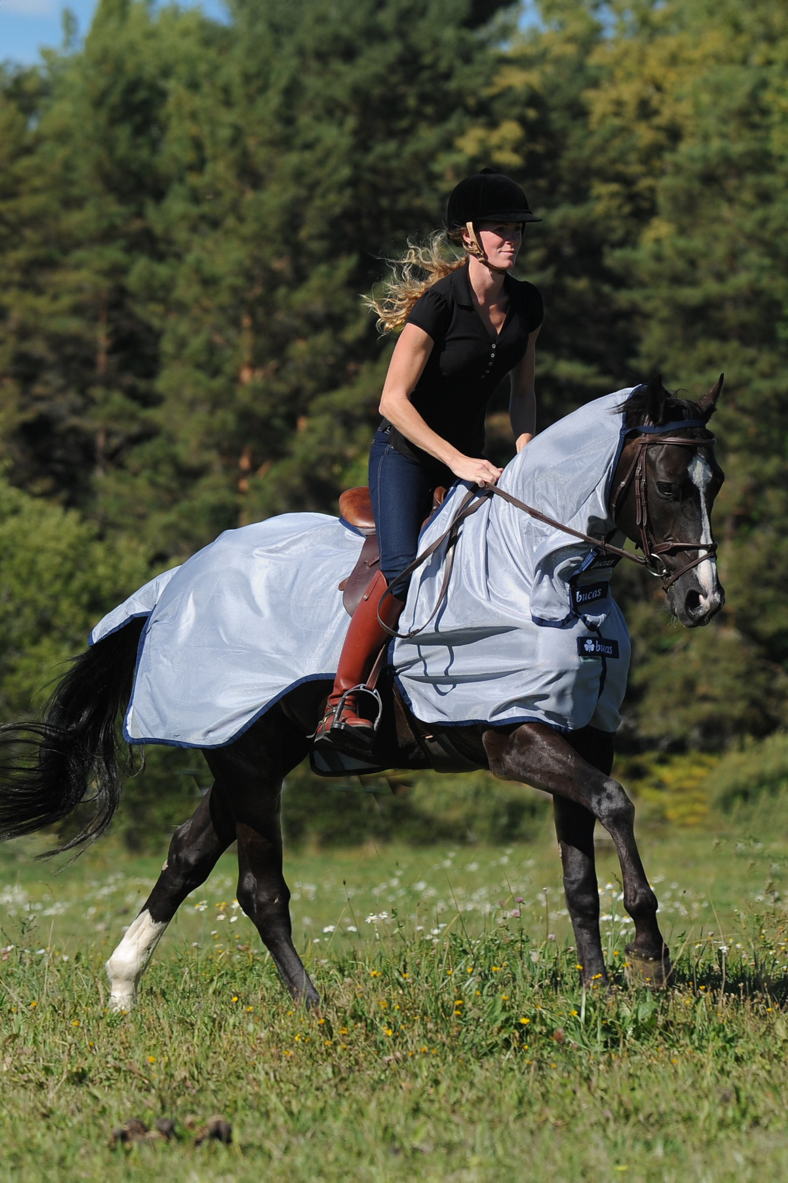 Bucas Buzz-Off ratsastusloimi