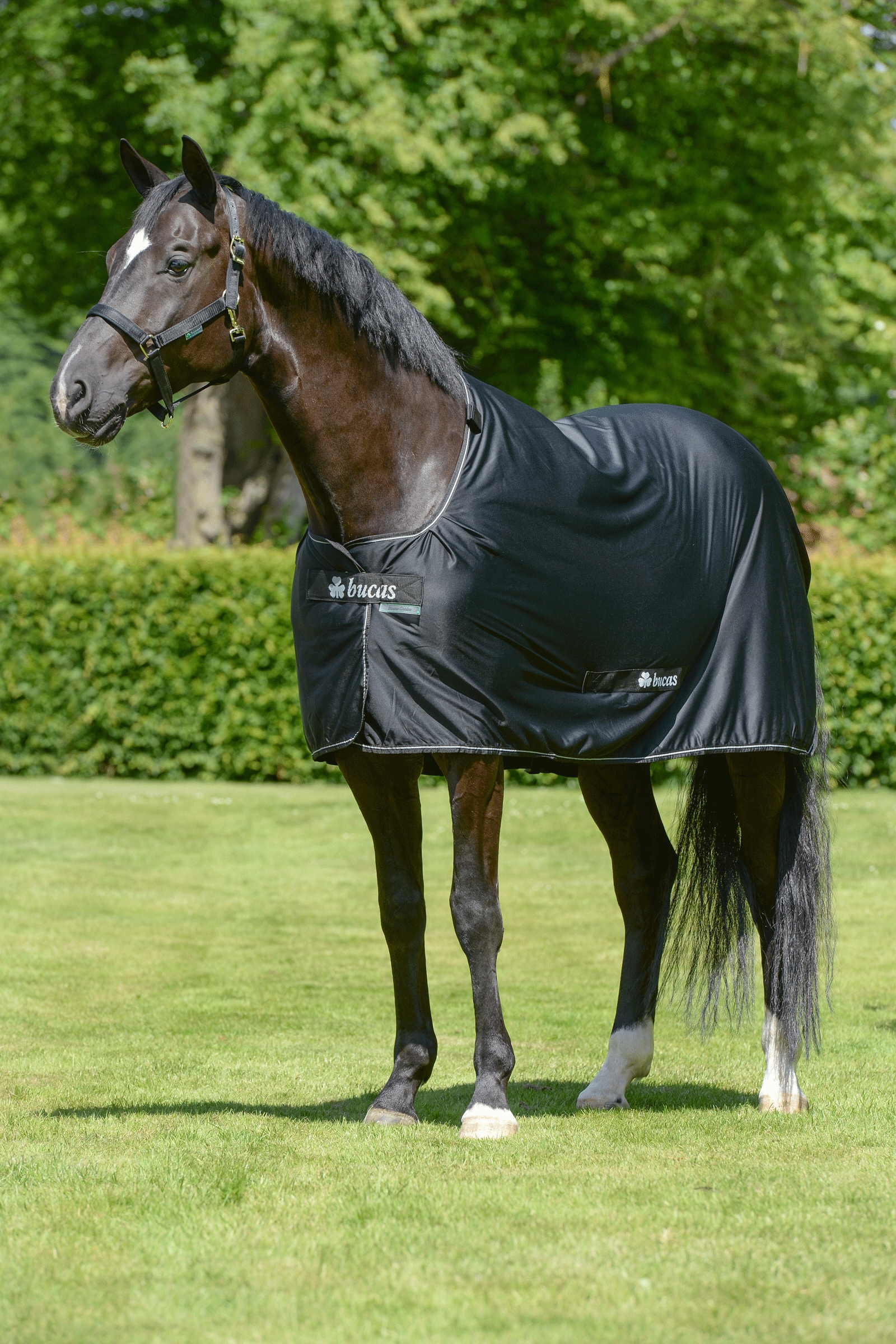 Bucas Power cooler-loimi