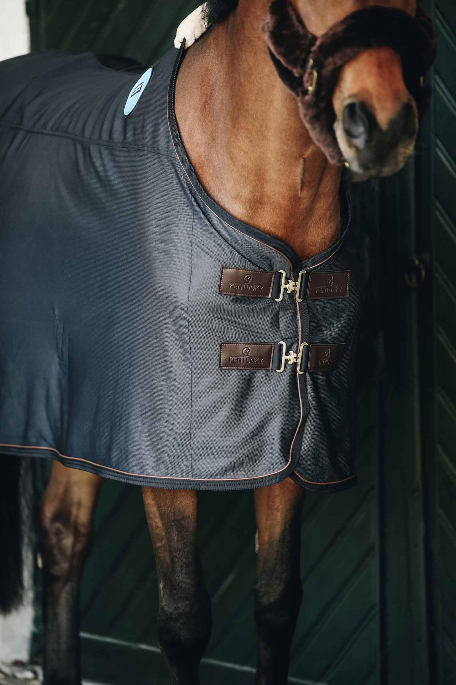 Kentucky Horsewear Recuptex magneettiloimi