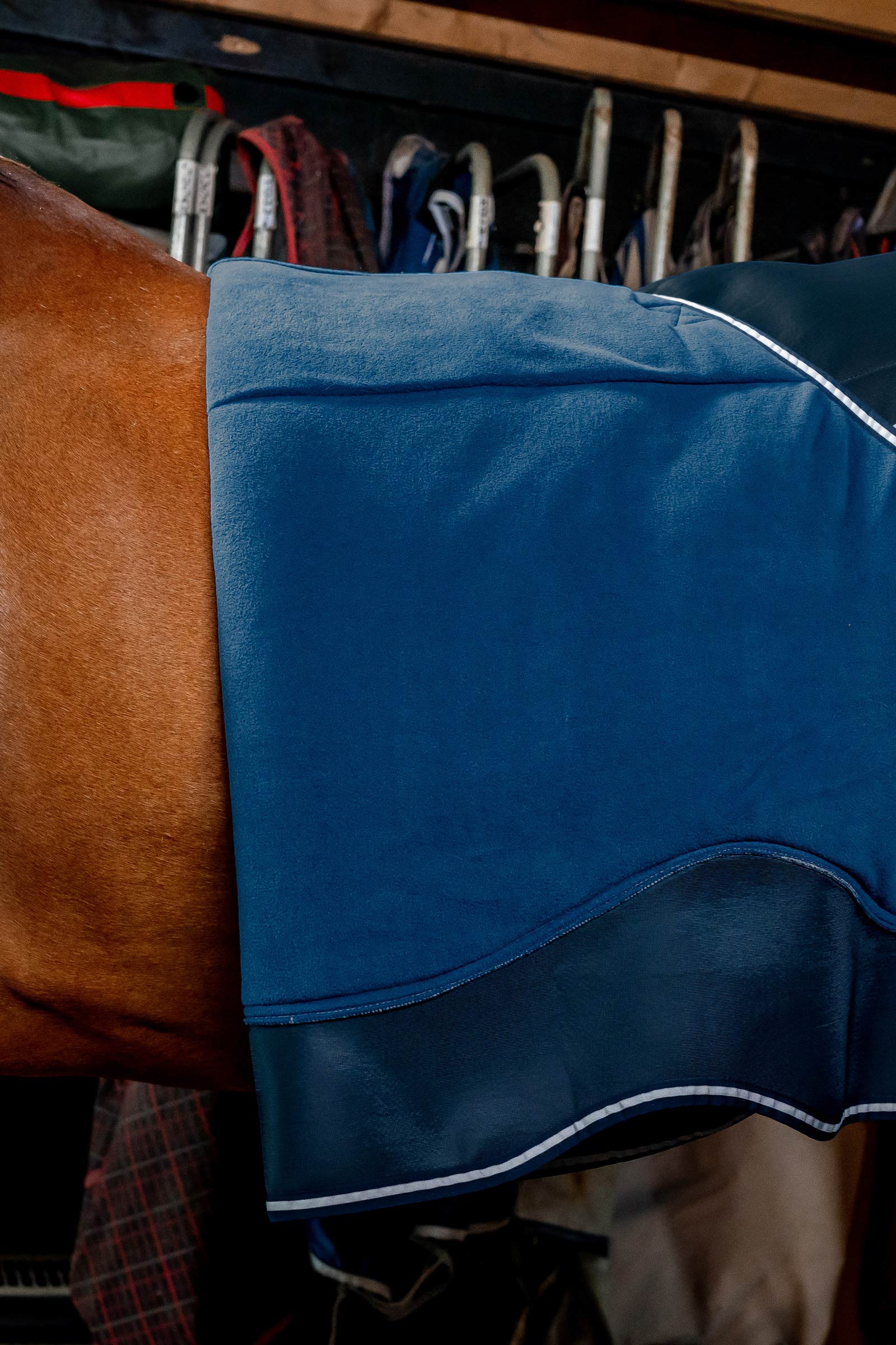 Horseware Dry Liner alusloimi kuivaustoiminnolla, 50 g